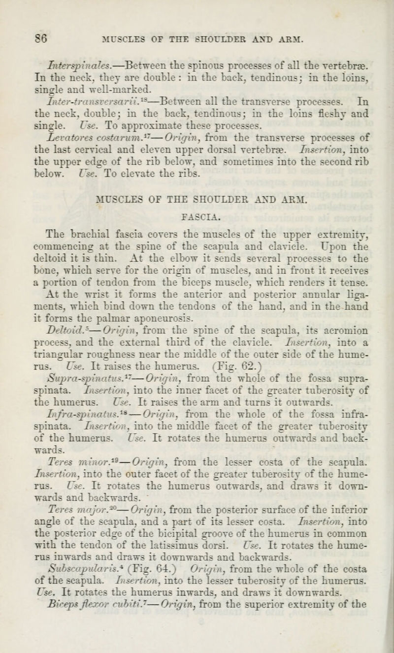 $6 MUSCLES OF THE SHOULDER AND ARM. Interspinals.—Between the spinous processes of all the vertebrae. In the neck, they are double : in the back, tendinous: in the loins, single and well-marked. Inter-tr . '■-—Between all the transverse pr In the neck, double; in the back, tendinous; in the loins fleshy and single. Use. To approximate these pr jesses. Levator - - -urn.17—Origin, from the transverse pi sses oi the last cervical and eleven upper dorsal vertebra?. Ins . into the upper edge of the rib below, and sometimes into the second rib below. Use. To elevate the ril - MUSCLES OF THE SHOULDER AHD ABM. FASCIA. The brachial fascia covers the muscles of the upper extremity, commencing at the spine of the scapula and clavicle. Upon the deltoid it is thin. At the elbow it sends several pr :— - to the bone, which serve for tl igin ol -.-..soles, and in front it receives a portion of tendon from the biceps muscle, which renders it tense. At the wrist it forms the anterior and posterior annular liga- ments, which bind down the tendons of the hand, and in the hand it forms the palmar aponeurosis. Deltoid.5—Origin, from the spine of the scapula, its acromion process, and the external third of the clavicle. Inserti . into a ingular roughness near the mid 2 of the hume- rus. Use. It raises the humerus. (Fig. 62.) Supra-spinatus.17—Origin, from the whole of the fossa supra? spinata. Insertion, into the inner facet of the greater tnl srosity of the humerus. Use. It raises the arm and turns it outwards. ■■i-spinatu.s.1*— . from the whole of the : ssa infra- spinata. Insertion, into the middle facet of the greater tnl isity of the humerus. Use. I: rotates the humerus outws I back- wards. Teres minor.12—Origin, from the less -ta of the scapula. Insertion, into the outer facet of the greater tuberosity f the hume- rus. Use. It rotates the humerv : '-. [raws it down- wards and backwards. es major.:—Origin, from the posterior surface of the inf::. r angle of the scapula, and a part of its less 1 osta, Inst ' . into the posterior edge of the bicipital groove of the humerus in common with the tendon of the latissimus dorsi. Use. It rotates the hume- rus inwards and draws it downwards and backwards. Subscapular is.* (Fig. 64.) Origin, from the whole of the e - of the scapula. I, > . into the lesser tuber rity f the humerus. Use. It rotates the humerus inwards, and draws it downwards. Biceps ■ • hy'ti.—Origin, from the superior extremity of the