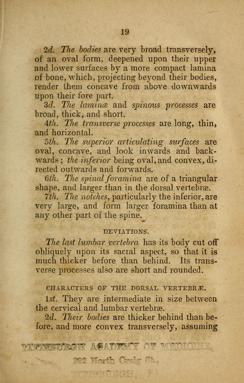 2d. The bodies are very broad transversely, of an oval form, deepened upon their upper and lower surfaces by a more compact lamina of bone, which, projecting beyond their bodies, render them concave from above downwards upon their fore part. 3d. The laminae and spinous processes are broad, thick, and short. 4th. The transverse processes are long, thin, and horizontal. 5th. The superior articulating surfaces are oval, concave, and look inwards and back- wards ; the inferior being oval, and convex, di- rected outwards and forwards. 6th. The spinal foramina are of a triangular shape, and larger than in the dorsal vertebrae. 7th. The notches, particularly the inferior, are very large, and form larger foramina than at any other part of the spine. DEVIATIONS. TJie last lumbar vertebra has its body cut off obliquely upon its sacral aspect, so that it is much thicker before than behind. Its trans- verse processes also are short and rounded. CHARACTERS OF THE DORSAL VERTEBRA. 1st. They are intermediate in size between the cervical and lumbar vertebrae. 2d. Tlieir bodies are thicker behind than be- fore, and more convex transversely, assuming ... ^ y^r% -.. .