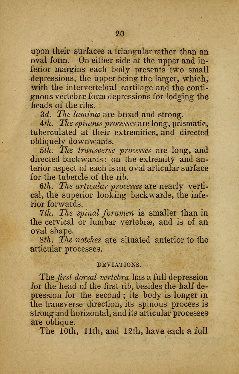upon their surfaces a triangular rather than an oval form. On either side at the upper and in- ferior margins each body presents two small depressions, the upper being the larger, which, with the intervertebral cartilage and the conti- guous vertebrae form depressions for lodging the heads of the ribs. 3c?. The lamina are broad and strong. 4th. The spinous processes are long, prismatic, tuberculated at their extremities, and directed obliquely downwards. 5th. The transverse processes are long, and directed backwards; on the extremity and an- terior aspect of each is an oval articular surface for the tubercle of the rib. 6th. The articular processes are nearly verti- cal, the superior looking backwards, the infe- rior forwards. 7th. The spinal foramen is smaller than in the cervical or lumbar vertebrae, and is of an oval shape. 8th. The notches are situated anterior to the articular processes. DEVIATIONS. The first dorsal vertebra has a full depression for the head of the first rib, besides the half de- pression for the second ; its body is longer in the transverse direction, its spinous process is strong and horizontal, and its articular processes are oblique. The 10th, 11th, and 12th, have each a full