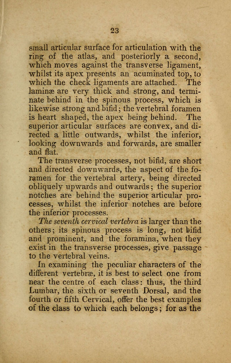 small articular surface for articulation with the ring of the atlas, and posteriorly a second, which moves against the transverse ligament, whilst its apex presents an acuminated top, to which the check ligaments are attached. The laminae are very thick and strong, and termi- nate behind in the spinous process, which is likewise strong and bifid; the vertebral foramen is heart shaped, the apex being behind. The superior articular surfaces are convex, and di- rected a little outwards, whilst the inferior, looking downwards and forwards, are smaller and flat. The transverse processes, not bifid, are short and directed downwards, the aspect of the fo- ramen for the vertebral artery, being directed obliquely upwards and outwards; the superior notches are behind the superior articular pro- cesses, whilst the inferior notches are before the inferior processes. The seventh cervical vertebra is larger than the others; its spinous process is long, not bifid and prominent, and the foramina, when they exist in the transverse processes, give passage to the vertebral veins. In examining the peculiar characters of the different vertebrae, it is best to select one from near the centre of each class: thus, the third Lumbar, the sixth or seventh Dorsal, and the fourth or fifth Cervical, offer the best examples of the class to which each belongs; for as the