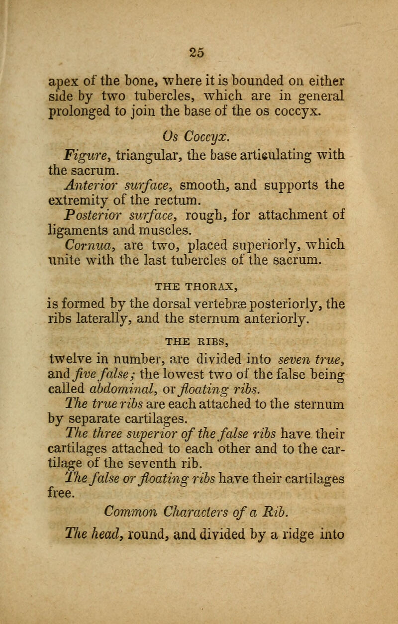 apex of the bone, where it is bounded on either side by two tubercles, which are in general prolonged to join the base of the os coccyx. Os Coccyx. Figure, triangular, the base articulating with the sacrum. Anterior surface, smooth, and supports the extremity of the rectum. Posterior surface, rough, for attachment of ligaments and muscles. Cornua, are two, placed superiorly, which unite with the last tubercles of the sacrum. THE THORAX, is formed by the dorsal vertebrae posteriorly, the ribs laterally, and the sternum anteriorly. THE RIBS, twelve in number, are divided into seven true, and five false; the lowest two of the false being called abdominal, or floating ribs. The true ribs are each attached to the sternum by separate cartilages. The three superior of the false ribs have their cartilages attached to each other and to the car- tilage of the seventh rib. The false or floating ribs have their cartilages free. Common Characters of a Rib. The head, round, and divided by a ridge into