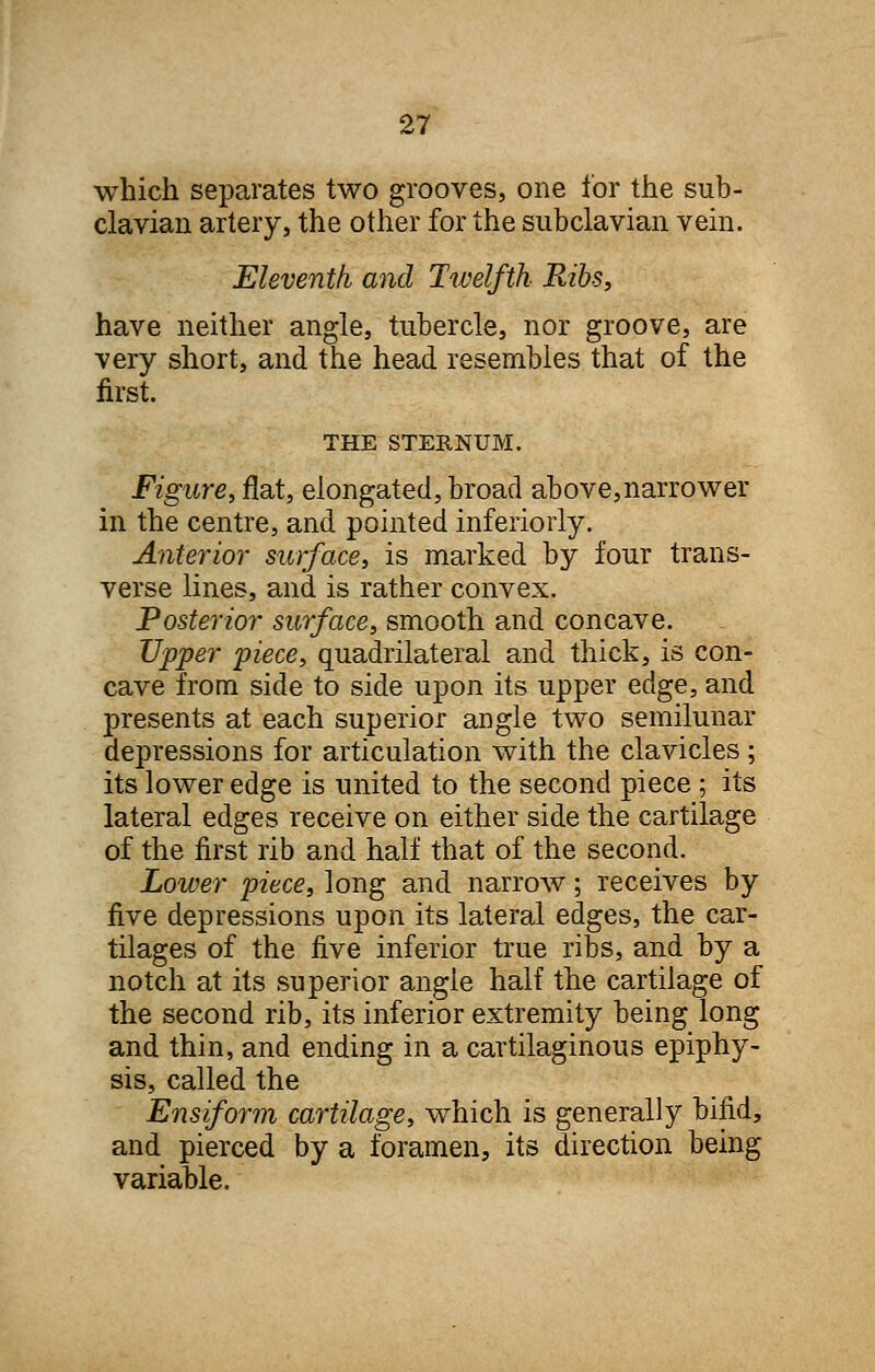 which separates two grooves, one for the sub- clavian artery, the other for the subclavian vein. Eleventh and Twelfth Ribs, have neither angle, tubercle, nor groove, are very short, and the head resembles that of the first. THE STERNUM. Figure, flat, elongated, broad above,narrower in the centre, and pointed inferiorly. Anterior surface, is marked by four trans- verse lines, and is rather convex. Posterior surface, smooth and concave. Upper piece, quadrilateral and thick, is con- cave from side to side upon its upper edge, and presents at each superior angle two semilunar depressions for articulation with the clavicles; its lower edge is united to the second piece; its lateral edges receive on either side the cartilage of the first rib and half that of the second. Lower piece, long and narrow; receives by five depressions upon its lateral edges, the car- tilages of the five inferior true ribs, and by a notch at its superior angle half the cartilage of the second rib, its inferior extremity being long and thin, and ending in a cartilaginous epiphy- sis, called the Ensiform cartilage, which is generally bifid, and pierced by a foramen, its direction being variable.