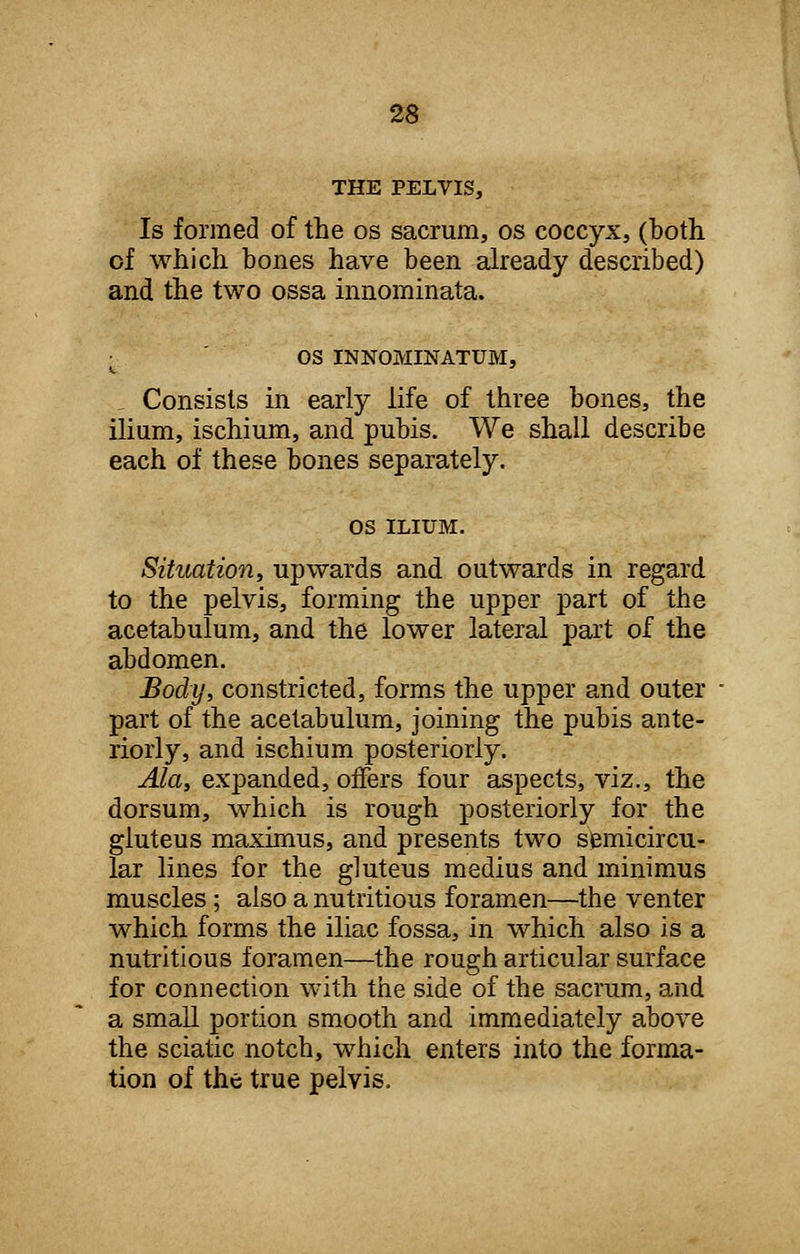 THE PELVIS, Is formed of the os sacrum, os coccyx, (both of which bones have been already described) and the two ossa innominata. OS INNOMINATUM, . Consists in early life of three bones, the ilium, ischium, and pubis. We shall describe each of these bones separately. os ILIUM. Situation, upwards and outwards in regard to the pelvis, forming the upper part of the acetabulum, and the lower lateral part of the abdomen. Body, constricted, forms the upper and outer part of the acetabulum, joining the pubis ante- riorly, and ischium posteriorly. Ala, expanded, offers four aspects, viz., the dorsum, which is rough posteriorly for the gluteus maximus, and presents two semicircu- lar lines for the gluteus medius and minimus muscles; also a nutritious foramen—the venter which forms the iliac fossa, in which also is a nutritious foramen—the rough articular surface for connection with the side of the sacrum, and a small portion smooth and immediately above the sciatic notch, which enters into the forma- tion of the true pelvis.