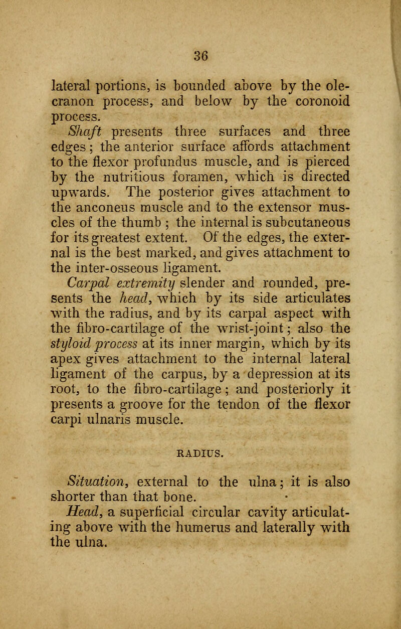 lateral portions, is bounded above by the ole- cranon process, and below by the coronoid process. Shaft presents three surfaces and three edges; the anterior surface affords attachment to the flexor profundus muscle, and is pierced by the nutritious foramen, which is directed upwards. The posterior gives attachment to the anconeus muscle and to the extensor mus- cles of the thumb ; the internal is subcutaneous for its greatest extent. Of the edges, the exter- nal is the best marked, and gives attachment to the inter-osseous ligament. Carpal extremity slender and rounded, pre- sents the head, which by its side articulates with the radius, and by its carpal aspect with the nbro-cartilage of the wrist-joint; also the styloid process at its inner margin, which by its apex gives attachment to the internal lateral ligament of the carpus, by a depression at its root, to the nbro-cartilage; and posteriorly it presents a groove for the tendon of the flexor carpi ulnaris muscle. RADIUS. Situation, external to the ulna; it is also shorter than that bone. Head, a superficial circular cavity articulat- ing above with the humerus and laterally with the ulna.