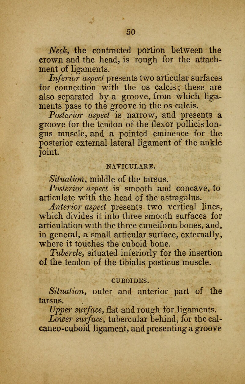Neck, the contracted portion between the crown and the head, is rough for the attach- ment of ligaments. Inferior aspect presents two articular surfaces for connection with the os calcis; these are also separated by a groove, from which liga- ments pass to the groove in the os calcis. Posterior aspect is narrow, and presents a groove for the tendon of the flexor pollicis lon- gus muscle, and a pointed eminence for the posterior external lateral ligament of the ankle joint. NAVICULARE. Situation, middle of the tarsus. Posterior aspect is smooth and concave, to articulate with the head of the astragalus. Anterior aspect presents two vertical lines, which divides it into three smooth surfaces for articulation with the three cuneiform bones, and, in general, a small articular surface, externally, where it touches the cuboid bone. Tubercle, situated inferiorly for the insertion of the tendon of the tibialis posticus muscle. CUBOIDES. Situation, outer and anterior part of the tarsus. Upper surface, flat and rough for ligaments. Lower surface, tubercular behind, for the cal- caneocuboid ligament, and presenting a groove
