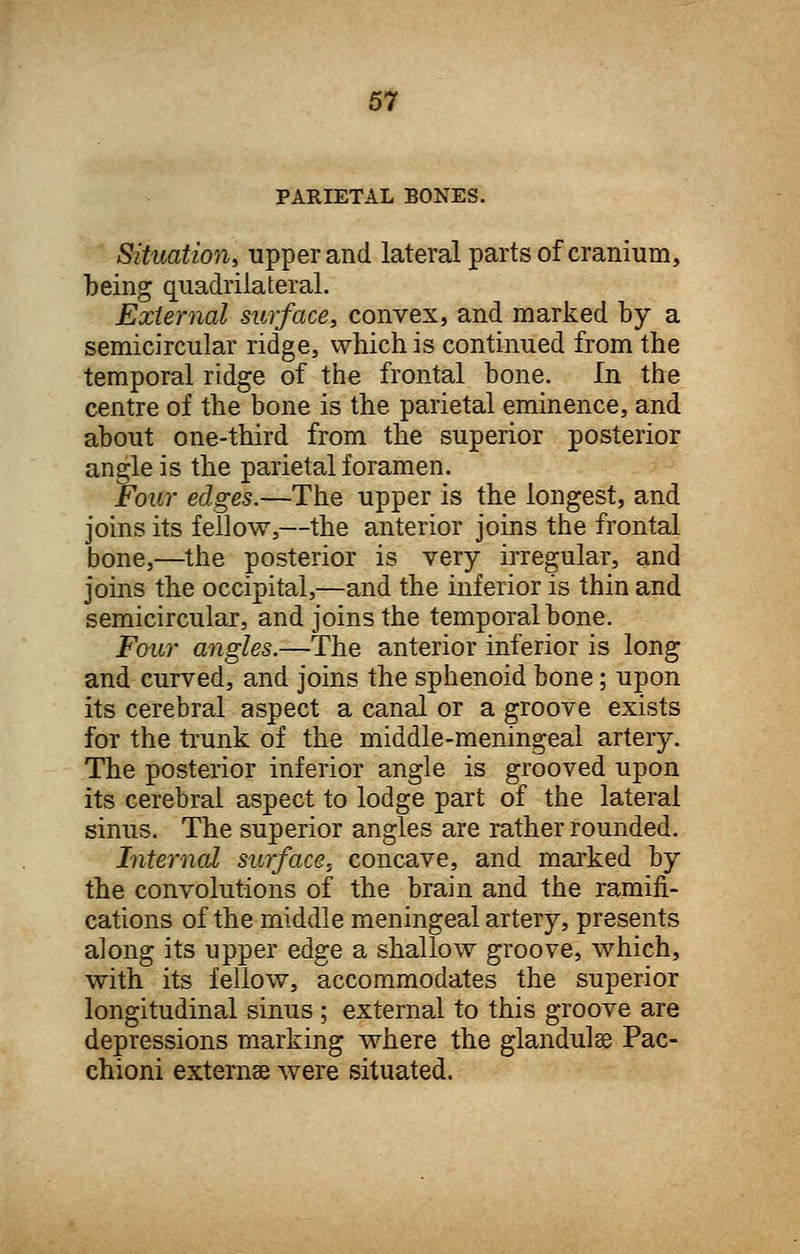 PARIETAL BONES. Situation, upper and lateral parts of cranium, being quadrilateral. External surface, convex, and marked by a semicircular ridge, which is continued from the temporal ridge of the frontal bone. In the centre of the bone is the parietal eminence, and about one-third from the superior posterior angle is the parietal foramen. Four edges.—The upper is the longest, and joins its fellow,—the anterior joins the frontal bone,—the posterior is very irregular, and joins the occipital,—and the inferior is thin and semicircular, and joins the temporal bone. Four angles.—The anterior inferior is long and curved, and joins the sphenoid bone; upon its cerebral aspect a canal or a groove exists for the trunk of the middle-meningeal artery. The posterior inferior angle is grooved upon its cerebral aspect to lodge part of the lateral sinus. The superior angles are rather rounded. Internal surface, concave, and marked by the convolutions of the brain and the ramifi- cations of the middle meningeal artery, presents along its upper edge a shallow groove, which, with its fellow, accommodates the superior longitudinal sinus ; external to this groove are depressions marking where the glandulse Pac- chioni externa were situated.