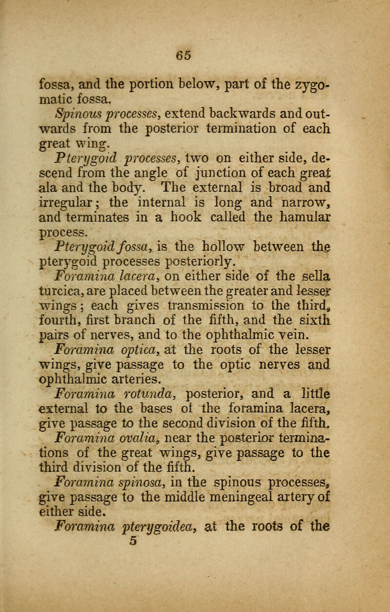 fossa, and the portion below, part of the zygo- matic fossa. Spinous processes, extend backwards and out- wards from the posterior termination of each great wing. Pterygoid processes, two on either side, de- scend from the angle of junction of each great ala and the body. The external is broad and irregular; the internal is long and narrow, and terminates in a hook called the hamular process. Pterygoid fossa, is the hollow between the pterygoid processes posteriorly. Foramina lacera, on either side of the sella turcica, are placed between the greater and les.se? wings; each gives transmission to the third9 fourth, first branch of the fifth, and the sixth pairs of nerves, and to the ophthalmic vein. Foramina optica, at the roots of the lesser wings, give passage to the optic nerves and ophthalmic arteries. Foramina rotunda, posterior, and a little external to the bases ol the foramina lacera, give passage to the second division of the fifth. Foramina ovalia, near the posterior termina- tions of the great wings, give passage to the third division of the fifth. Foramina spinosa, in the spinous processes, give passage to the middle meningeal artery of either side. Foramina pterygoidea, at the roots of the 5