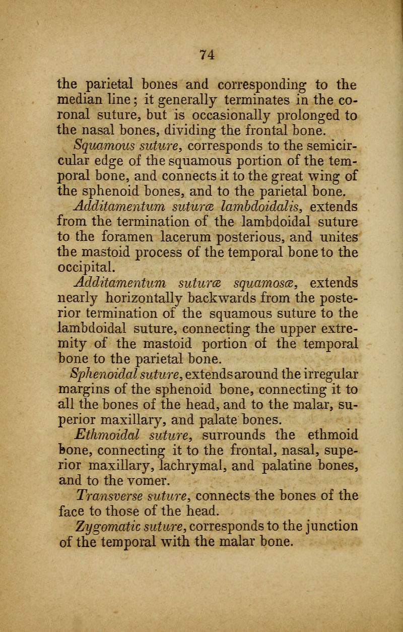 the parietal bones and corresponding to the median line; it generally terminates in the co- ronal suture, but is occasionally prolonged to the nasal bones, dividing the frontal bone. Squamous suture, corresponds to the semicir- cular edge of the squamous portion of the tem- poral bone, and connects it to the great wing of the sphenoid bones, and to the parietal bone. Additamentum suturce lambdoidalis, extends from the termination of the lambdoidal suture to the foramen lacerum posterious, and unites the mastoid process of the temporal bone to the occipital. Additamentum suturce squamosce, extends nearly horizontally backwards from the poste- rior termination of the squamous suture to the lambdoidal suture, connecting the upper extre- mity of the mastoid portion of the temporal bone to the parietal bone. Sphenoidal suture, extends around the irregular margins of the sphenoid bone, connecting it to all the bones of the head, and to the malar, su- perior maxillary, and palate bones. Ethmoidal suture, surrounds the ethmoid bone, connecting it to the frontal, nasal, supe- rior maxillary, lachrymal, and palatine bones, and to the vomer. Transverse suture, connects the bones of the face to those of the head. Zygomatic suture, corresponds to the junction of the temporal with the malar bone.