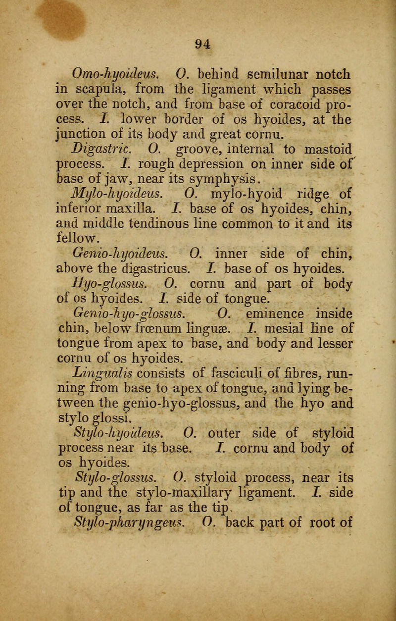 Omo-hyoideus. 0. behind semilunar notch in scapula, from the ligament which passes over the notch, and from base of coracoid pro- cess. I. lower border of os hyoides, at the junction of its body and great cornu. Digastric. 0. groove, internal to mastoid process. I. rough depression on inner side of base of jaw, near its symphysis. Mylo-kyoideus. 0. mylo-hyoid ridge of inferior maxilla. I. base of os hyoides, chin, and middle tendinous line common to it and its fellow. Genio-hyoideus. 0. inner side of chin, above the digastricus. I. base of os hyoides. Myo-glossus. 0. cornu and part of body of os hyoides. I. side of tongue. Genio-hyo-glossus. O. eminence inside chin, below froenum linguae. I. mesial line of tongue from apex to base, and body and lesser cornu of os hyoides. Lingualis consists of fasciculi of fibres, run- ning from base to apex of tongue, and lying be- tween the genio-hyo-glossus, and the hyo and stylo glossi. Stylo -hyoidem. 0. outer side of styloid process near its base. I. cornu and body of os hyoides. Stylo-glossus. O. styloid process, near its tip and the stylo-maxillary ligament. I. side of tongue, as far as the tip. Stylo-pharyngeus. O. back part of root of