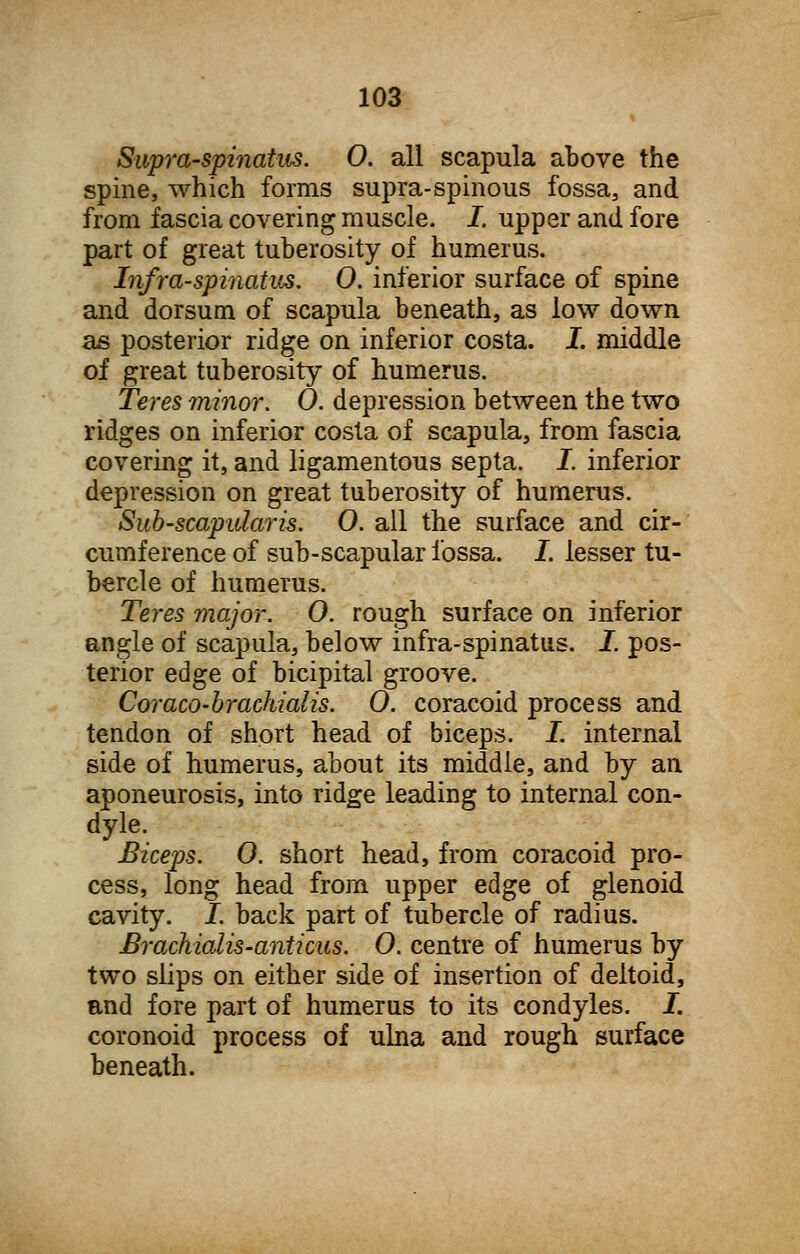 Supra-spinatus. O. all scapula above the spine, which forms supra-spinous fossa, and from fascia covering muscle. I. upper and fore part of great tuberosity of humerus. Infraspinatus. 0. inferior surface of spine and dorsum of scapula beneath, as low down as posterior ridge on inferior costa. I. middle of great tuberosity of humerus. Teres minor. 0. depression between the two ridges on inferior costa of scapula, from fascia covering it, and ligamentous septa. I. inferior depression on great tuberosity of humerus. Sub-scapidaris. O. all the surface and cir- cumference of sub-scapular fossa. I. lesser tu- bercle of humerus. Teres major. O. rough surface on inferior angle of scapula, below infra-spinatus. I. pos- terior edge of bicipital groove. Coraco-brachialis. 0. coracoid process and tendon of short head of biceps. I. internal side of humerus, about its middle, and by an aponeurosis, into ridge leading to internal con- dyle. Biceps. 0. short head, from coracoid pro- cess, long head from upper edge of glenoid cavity. I. back part of tubercle of radius. Brachialis-anticus. O. centre of humerus by two slips on either side of insertion of deltoid, and fore part of humerus to its condyles. I. coronoid process of ulna and rough surface beneath.