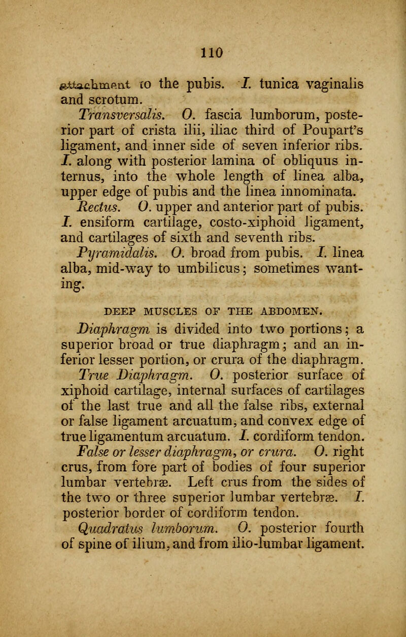 «ju«a.climp.at io the pubis. I. tunica vaginalis and scrotum. Transversalis. 0. fascia lumborum, poste- rior part of crista ilii, iliac third of Poupart's ligament, and inner side of seven inferior ribs. I. along with posterior lamina of obliquus in- ternus, into the whole length of linea alba, upper edge of pubis and the linea innominata. Rectus. O. upper and anterior part of pubis. I. ensiform cartilage, costo-xiphoid ligament, and cartilages of sixth and seventh ribs. Pyramidalis. 0. broad from pubis. I. linea alba, mid-wTay to umbilicus; sometimes want- ing. DEEP MUSCLES OF THE ABDOMEN. Diaphragm is divided into two portions; a superior broad or true diaphragm; and an in- ferior lesser portion, or crura of the diaphragm. True Diaphragm. 0. posterior surface of xiphoid cartilage, internal surfaces of cartilages of the last true and all the false ribs, external or false ligament arcuatum, and convex edge of true ligamentum arcuatum. I. cordiform tendon. False or lesser diaphragm, or crura. 0. right cms, from fore part of bodies of four superior lumbar vertebrae. Left eras from the sides of the two or three superior lumbar vertebrae. I. posterior border of cordiform tendon. Quadratus lumborum. 0. posterior fourth of spine of ilium, and from ilio-lumbar ligament.