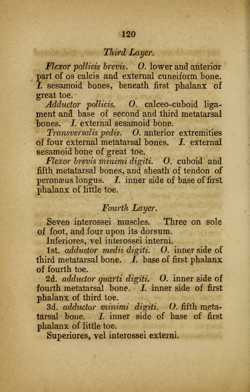 Third Layer. Flexor pollicis brevis. 0. lower and anterior part of os calcis and external cuneiform bone. I. sesamoid bones, beneath first phalanx of great toe. Adductor pollicis. O. calceo-cuboid liga- ment and base of second and third metatarsal bones. I. external sesamoid bone. Transversal-is pedis. 0. anterior extremities of four external metatarsal bones. I. external sesamoid bone of great toe. Flexor brevis minimi digiti. O. cuboid and fifth metatarsal bones, and sheath of tendon of peronseus longus. I. inner side of base of first phalanx of little toe. Fourth Layer. Seven interossei muscles. Three on sole of foot, and four upon its dorsum. lnferiores, vel interossei interni. 1st. adductor medii digiti. O. inner side of third metatarsal bone. I. base of first phalanx of fourth toe. 2d. adductor quarti digiti. O. inner side of fourth metatarsal bone. I. inner side of first phalanx of third toe. 3d. adductor minimi digiti. O. fifth meta- tarsal bone. I. inner side of base of first phalanx of little toe. Superiores, vel interossei externi.