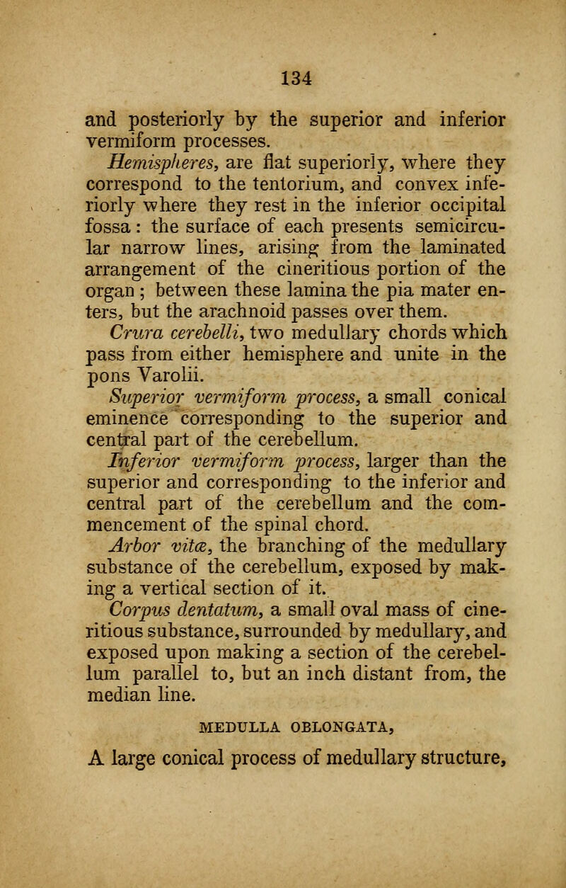 and posteriorly by the superior and inferior vermiform processes. Hemispheres, are flat superiorly, where they correspond to the tentorium, and convex inte- riorly where they rest in the inferior occipital fossa : the surface of each presents semicircu- lar narrow lines, arising from the laminated arrangement of the cineritious portion of the organ ; between these lamina the pia mater en- ters, but the arachnoid passes over them. Crura cerebelli, two medullary chords which pass from either hemisphere and unite in the pons Varolii. Superior vermiform process, a small conical eminence corresponding to the superior and central part of the cerebellum. Inferior vermiform process, larger than the superior and corresponding to the inferior and central part of the cerebellum and the com- mencement of the spinal chord. Arbor vitce, the branching of the medullary substance of the cerebellum, exposed by mak- ing a vertical section of it. Corpus dentatum, a small oval mass of cine- ritious substance, surrounded by medullary, and exposed upon making a section of the cerebel- lum parallel to, but an inch distant from, the median line. MEDULLA OBLONGATA, A large conical process of medullary structure,