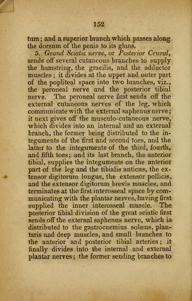 turn; and a superior branch which passes along the dorsum of the penis to its glans. 5. Grand Sciatic nerve, or Posterior Crural, sends off several cutaneous branches to supply the hamstring, the gracilis, and the adductor muscles ; it divides at the upper and outer part of the popliteal space into two branches, viz., the peroneal nerve and the posterior tibial nerve. The peroneal nerve first sends off the external cutaneous nerves of the ]eg, which communicate with the external saphenus nerve; it next gives off the musculo-cutaneous nerve, which divides into an internal and an external branch, the former being distributed to the in- teguments of the first and second toes, and the latter to the integuments of the third, fourth, and fifth toes; and its last branch, the anterior tibial, supplies the integuments on the anterior part of the leg and the tibialis anticus, the ex- tensor digitorum longus, the extensor pollicis, and the extensor digitorum brevis muscles, and terminates at the first interosseal space by com- municating with the plantar nerves, having first supplied the inner interosseal muscle. The posterior tibial division of the great sciatic first sends off the external saphenus nerve, which is distributed to the gastrocnemius soloeus, plan- taris and deep muscles, and small branches to the anterior and posterior tibial arteries; it finally divides into the internal and external plantar nerves; the former sending branches to