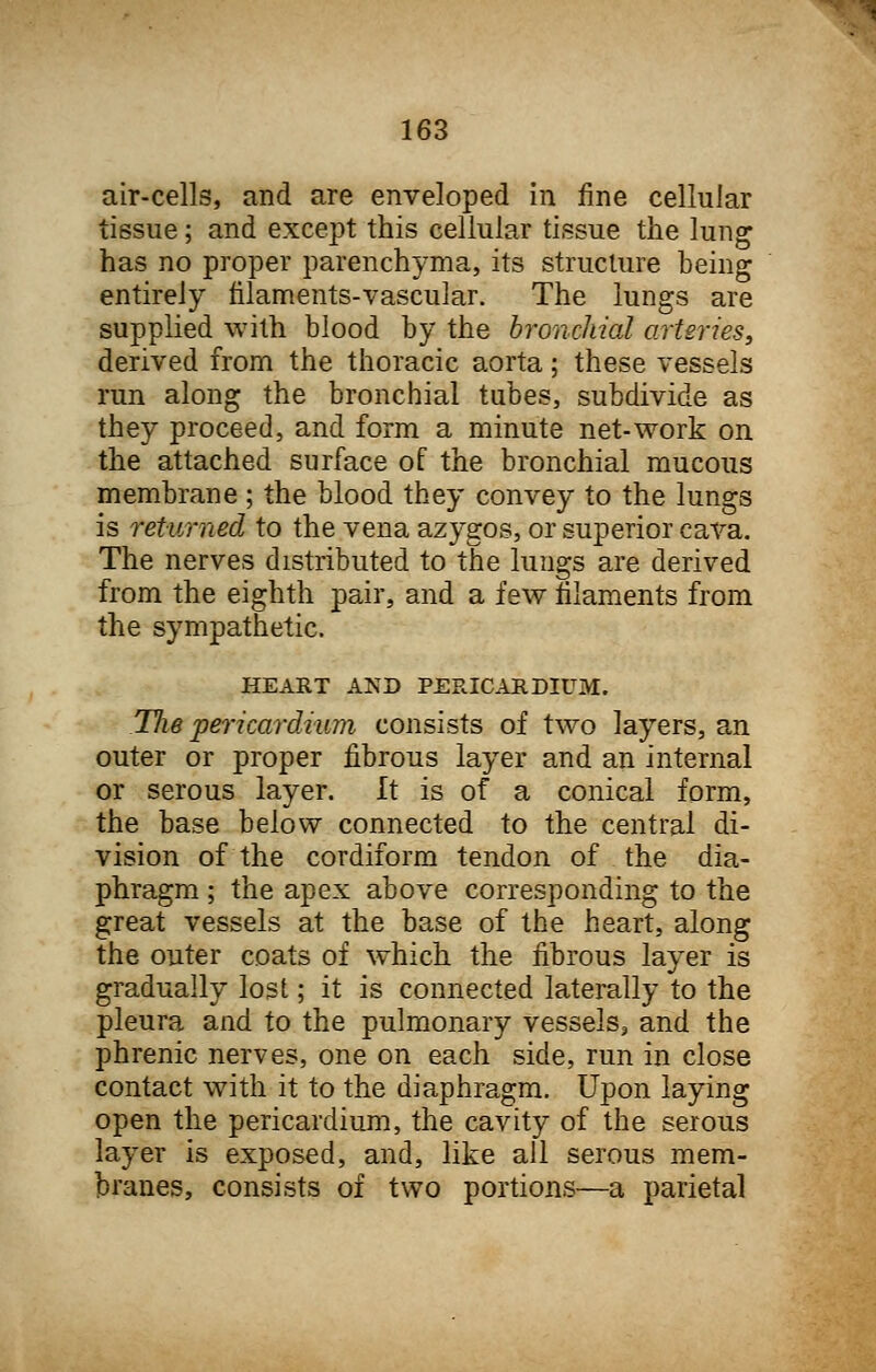 air-cells, and are enveloped in fine cellular tissue; and except this cellular tissue the lung has no proper parenchyma, its structure being entirely filaments-vascular. The lungs are supplied with blood by the bronchial arteries, derived from the thoracic aorta; these vessels run along the bronchial tubes, subdivide as they proceed, and form a minute net-work on the attached surface of the bronchial mucous membrane ; the blood they convey to the lungs is returned to the vena azygos, or superior cava. The nerves distributed to the lungs are derived from the eighth pair, and a few filaments from the sympathetic. HEART AND PERICARDIUM. Tlie pericardium consists of two layers, an outer or proper fibrous layer and an internal or serous layer. It is of a conical form, the base below connected to the central di- vision of the cordiform tendon of the dia- phragm ; the apex above corresponding to the great vessels at the base of the heart, along the outer coats of which the fibrous layer is gradually lost; it is connected laterally to the pleura and to the pulmonary vessels, and the phrenic nerves, one on each side, run in close contact with it to the diaphragm. Upon laying open the pericardium, the cavity of the serous layer is exposed, and, like all serous mem- branes, consists of two portions—a parietal