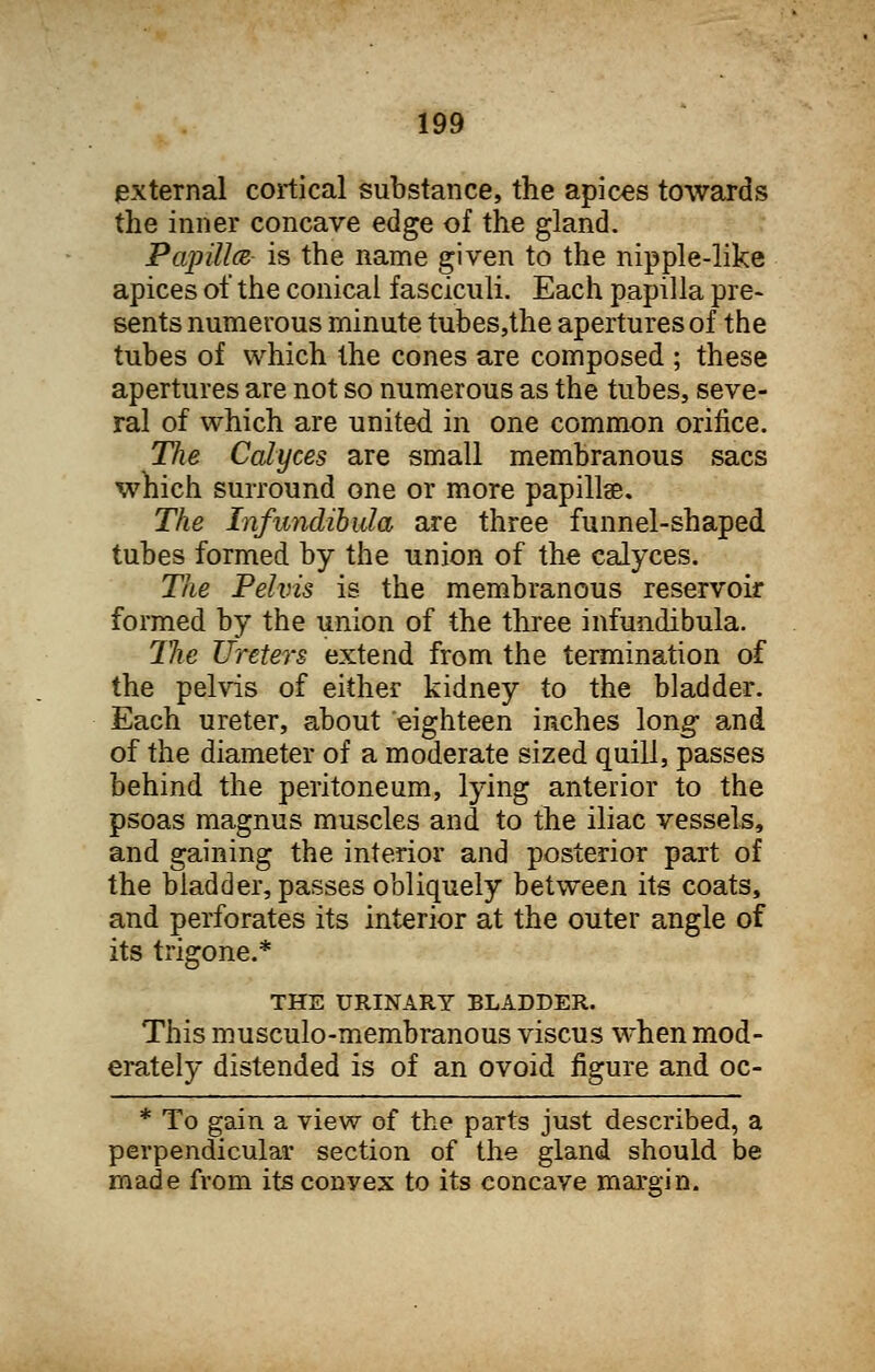 external cortical substance, the apices towards the inner concave edge of the gland. Papillae, is the name given to the nipple-like apices of the conical fasciculi. Each papilla pre- sents numerous minute tubes,the apertures of the tubes of which the cones are composed ; these apertures are not so numerous as the tubes, seve- ral of which are united in one common orifice. The Calyces are small membranous sacs which surround one or more papillae. The Infundibula are three funnel-shaped tubes formed by the union of the calyces. The Pelvis is the membranous reservoir formed by the union of the three infundibula. Tlie Ureters extend from the termination of the pelvis of either kidney to the bladder. Each ureter, about eighteen inches long and of the diameter of a moderate sized quill, passes behind the peritoneum, lying anterior to the psoas magnus muscles and to the iliac vessels, and gaining the interior and posterior part of the bladder, passes obliquely between its coats, and perforates its interior at the outer angle of its trigone.* THE URINARY BLADDER. This musculo-membranous viscus when mod- erately distended is of an ovoid figure and oc- * To gain a view of the parts just described, a perpendicular section of the gland should be made from its cony ex to its concave margin.