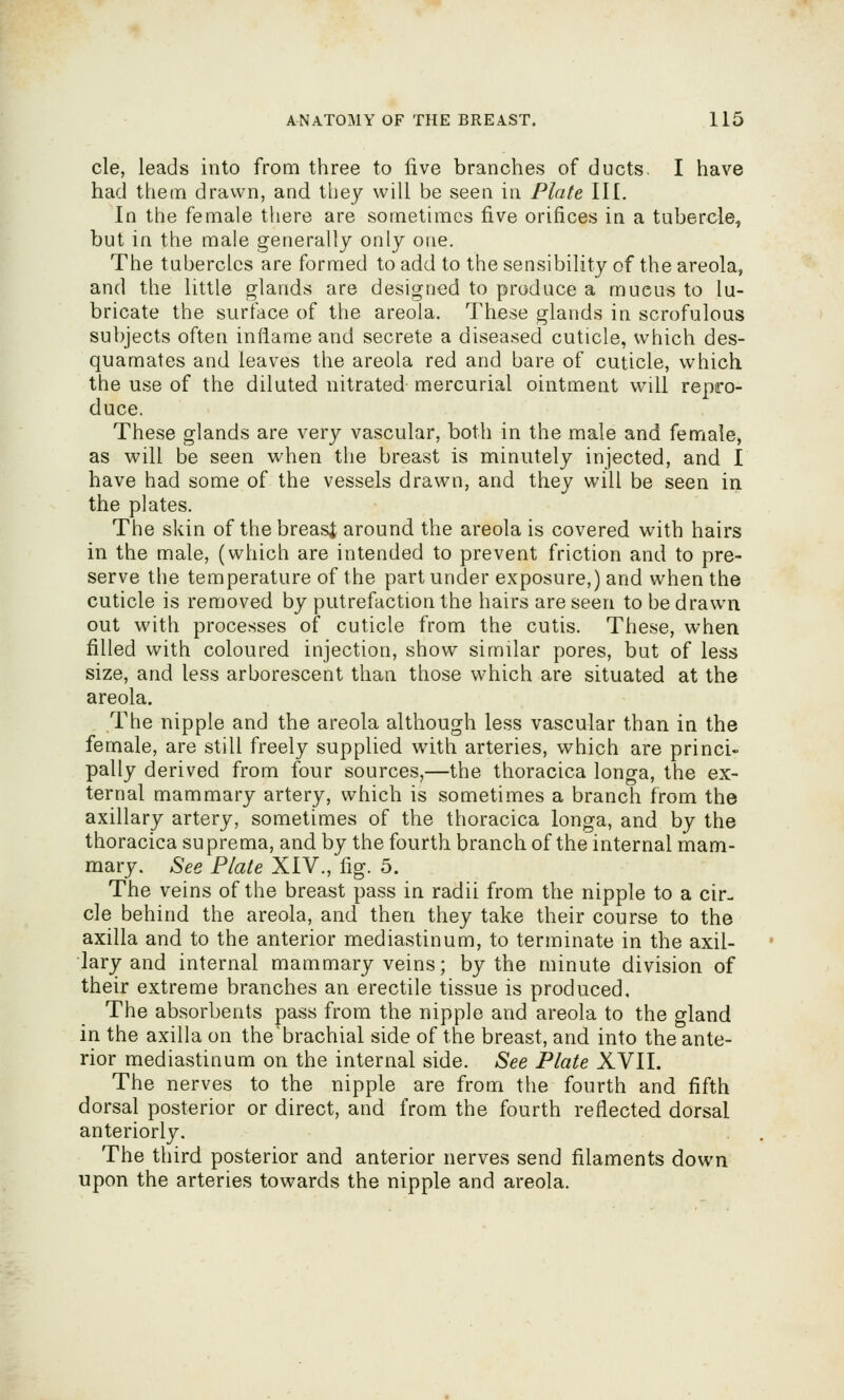 cle, leads into from three to five branches of ducts. I have had them drawn, and they will be seen in Plate III. In the female there are sometimes five orifices in a tubercle, but in the male generally only one. The tubercles are formed to add to the sensibility of the areola, and the little glands are designed to produce a mucus to lu- bricate the surface of the areola. These glands in scrofulous subjects often inflame and secrete a diseased cuticle, which des- quamates and leaves the areola red and bare of cuticle, which the use of the diluted nitrated mercurial ointment will repro- duce. These glands are very vascular, both in the male and female, as will be seen when the breast is minutely injected, and I have had some of the vessels drawn, and they will be seen in the plates. The skin of thebreasi around the areola is covered with hairs in the male, (which are intended to prevent friction and to pre- serve the temperature of the part under exposure,) and when the cuticle is removed by putrefaction the hairs are seen to be drawn out with processes of cuticle from the cutis. These, when filled with coloured injection, show similar pores, but of less size, and less arborescent than those which are situated at the areola. The nipple and the areola although less vascular than in the female, are still freely supplied with arteries, which are princi- pally derived from four sources,—the thoracica longa, the ex- ternal mammary artery, which is sometimes a branch from the axillary artery, sometimes of the thoracica longa, and by the thoracica suprema, and by the fourth branch of the internal mam- mary. See Plate XIV., fig. 5. The veins of the breast pass in radii from the nipple to a cir- cle behind the areola, and then they take their course to the axilla and to the anterior mediastinum, to terminate in the axil- lary and internal mammary veins; by the minute division of their extreme branches an erectile tissue is produced. The absorbents pass from the nipple and areola to the gland in the axilla on the^brachial side of the breast, and into the ante- rior mediastinum on the internal side. See Plate XVII. The nerves to the nipple are from the fourth and fifth dorsal posterior or direct, and from the fourth reflected dorsal anteriorly. The third posterior and anterior nerves send filaments down upon the arteries towards the nipple and areola.