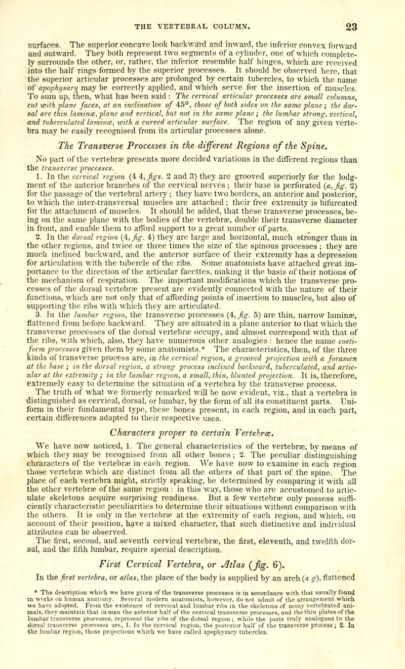 surfaces. The superior concave look backward and inward, the inferior convex forward and outward. They both represent two segments of a cylinder, one of which complete- ly surroimds the other, or, rather, the inferior resemble half hinges, which are received into the half rings formed by the superior processes. It should be observed here, that the superior articular processes are prolonged by certain tubercles, to which the name of apophysary may be correctly applied, and which serve for the insertion of muscles. To sum up, tfien, what has been said : The cervical articular processes are small columns, cut with plane faces, at an inclination of 45°, those of both sides on the same plane; the dor- sal arc thiyi lamina, plane and vertical, but not in the same plane ; the lumbar strong, vertical, and tuberculatcd lamince, xcith a curved articular surface. The region of any given verte- bra may be easily recognised from its articular processes alone. The Transverse Processes in the different Regions of the Spine. No part of the vertebrae presents more decided variations in the different regions than the transverse processes. 1. In the cervical region (4 ^,figs. 2 and 3) they are grooved superiorly for the lodg- ment of the anterior branches of the cervical nerves; their base is perforated {a, fig. 2) for the passage of the vertebral artery ; they have two borders, an anterior and posterior, to which the inter-transversal muscles are attached ; their free extremity is bifurcated for the attachment of muscles. It should be added, that these transverse processes, be- ing on the same plane with the bodies of the vertebra?, double their transverse diameter in front, and enable them to afford support to a great number of parts. 2. In the dorsal region (4, fig. 4) they are large and horizontal, much stronger than in the other regions, and twice or three times the size of the spinous processes ; they are much inclined backward, and the anterior surface of their extremity has a depression for articulation with the tubercle of the ribs. Some anatomists have attached great im- portance to the direction of the articular facettes, making it the basis of their notions of the mechanism of respiration. The important modifications which the transverse pro- cesses of the dorsal vertebra? present are evidently connected with the nature of their functions, which are not only that of affording points of insertion to muscles, but also of supporting the ribs with which they are articulated. 3. In the lumbar region, the transverse processes (4, ^o-. 5) are thin, narrow laminae, flattened from before backward. They are situated in a plane anterior to that which the transverse processes of the dorsal vertebra? occupy, and almost correspond with that of the ribs, with which, also, they have numerous other analogies : hence the name costi- form processes given them by some anatomists.* The characteristics, then, of the three kinds of transverse process are, jn the cervical region, a grooved projection with a foramen at the base ; in the dorsal region, a strong process inclined backward, tuberculatcd, and artic- ular at the extremity ; in the lumbar region, a small, thin, blunted projection. It is, therefore, extremely easy to determine the situation of a vertebra by the transverse process. The truth of what we formerly remarked will be now evident, viz., that a vertebra is distinguished as cervical, dorsal, or lumbar, by the form of all its constituent parts. Uni- form in their fundamental type, these bones present, in each region, and in each part, certain differences adapted to their respective uses. Characters proper to certain VertehrcE. We have now noticed, 1. The general characteristics of the vertebra?, by means of which they may be recognised from all other bones; 2. The peculiar distinguishing chraracters of the vertebra? in each region. We have now to examine in each region those vertebra? which are distinct from all the others of that part of the spine. The place of each vertebra might, strictly speaking, be determined by comparing it with all the other vertebrge of the same region : in this way, those who are accustomed to artic- ulate skeletons acquire surprising readiness. But a few vertebrae only possess suffi- ciently characteristic peculiarities to determine their situations without comparison with the others. It is only in the vertebra? at the extremity of each region, and which, on account of their position, have a mixed character, that such distinctive and individual attributes can be observed. The first, second, and seventh cervical vertebrae, the first, eleventh, and twelfth dor- sal, and the fifth lumbar, require special description. First Cervical Vertebra, or Jltlas (fig. 6). In the first vertebra, or atlas, the place of the body is supplied by an arch (a g), flattened * The description which, -we have given of the transverse processes is in accordance with that usually found in works on human anatomy. Several modem anatomists, however, do not admit of the arrangement which we have adopted. From the e.xislence of cervical and lumbar ribs in the skeletons of many vertebrated ani- mals, they maintain that in man the anterior half of the cervical transverse processes, and the thin plates of the lumbar transverse processes, represent the ribs of the dorsal region ; while the parts truly analogous to the dorsal transverse processes are, 1. lu the ccn'ical region, the posterior half of the transverse process ; 2. la the lumbar region, those projections which we have called apophysarj- tubercles.