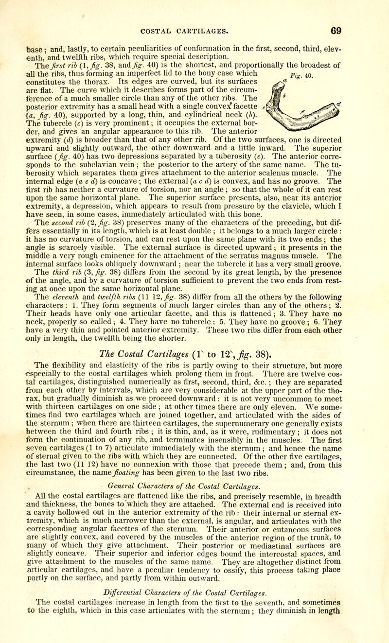 base; and, lastly, to certain peculiarities of conformation in the first, second, third, elev- enth, and twelfth ribs, which require special description. The first rib {I, fig. 38, and fig. 40) is the shortest, and proportionally the broadest of all the ribs, thus forming an imperfect lid to the bony case which constitutes the thorax. Its edges are- curved, but its surfaces are flat. The curve which it describes forms part of the circum- ference of a much smaller circle than any of the other ribs. The posterior extremity has a small head with a single convex* facette {a, fig. 40), supported by a long, thin, and cylindrical neck (b). The tubercle {c) is very prominent; it occupies the external bor- der, and gives an angular appearance to this rib. The anterior extremity {d) is broader than that of any other rib. Of the two surfaces, one is directed upward and slightly outward, the other downward and a little inward. The superior surface {fig. 40) has two depressions separated by a tuberosity (e). The anterior corre- sponds to the subclavian vein ; the posterior to the artery of the same name. The tu- berosity which separates them gives attachment to the anterior scalenus muscle. The internal edge (a e d) is concave; the external {a c d) is convex, and has no groove. The first rib has neither a curvature of torsion, nor an angle ; so that the whole of it can rest upon the same horizontal plane. The superior surface presents, also, near its anterior extremity, a depression, which appears to result from pressure by the clavicle, which I have seen, in some cases, immediately articulated with this bone. The second rib (2, fig. 38) preserves many of the characters of the preceding, but dif- fers essentially in its length, which is at least double ; it belongs to a much larger circle : it has no curvature of torsion, and can rest upon the same plane with its two ends ; the angle is scarcely visible. The external surface is directed upward; it presents in the middle a very rough eminence for the attachment of the serratus magnus muscle. The internal surface looks obliquely downward ; near the tubercle it has a very small groove. The third rib (3, fig. 38) differs from the second by its great length, by the presence of the angle, and by a curvature of torsion sufficient to prevent the two ends from rest- ing at once upon the same horizontal plane. The eleventh and twelfth ribs (11 12, fig. 38) differ from all the others by the following characters: 1. They form segments of much larger circles than any of the otliers; 2. Their heads have only one articular facette, and this is flattened; 3. They have no neck, properly so called ; 4. They have no tubercle : 5. They have no groove ; 6. They have a very thin and pointed anterior extremity. These two ribs differ from each other •only in length, the twelfth being the shorter. The Costal Cartilages (V to I2\fig. 38). The flexibility and elasticity of the ribs is partly owing to their structure, but more especially to the costal cartilages which prolong them in front. There are twelve cos- tal cartilages, distinguished nurnericall}^ as first, second, third, &;c. ; they are separated from each other by intervals, which are very considerable at the upper part of the tho- rax, but gradually diminish as we proceed downward : it is not very uncommon to meet with thirteen cartilages on one side ; at other times there are only eleven. We some- times find two cartilages which are joined together, and articulated with the sides of the sternum ; when there are thirteen cartilages, the supernumerary one generally exists between the third and fourth ribs ; it is thin, and, as it were, rudimentary; it does not form the continuation of any rib, and terminates insensibly in the muscles. The first seven cartilages (1 to 7) articulate immediately with the sternum ; and hence the name of sternal given to the ribs with which they are connected. Of the other five cartilages, the last two (11 12) have no connexion with those that precede them; and, from this circumstance, the name floating has been given to the last two ribs. General Characters of the Costal Cartilages. All the costal cartilages are flattened like the ribs, and precisely resemble, in breadth and thickness, the bones to which they are attached. The external end is received into a cavity hollowed out in the anterior extremity of the rib : their internal or sternal ex- tremity, which is much narrower than the external, is angular, and articulates with the corresponding angular facettes of the sternum. Their anterior or cutaneous surfaces are slightly convex, and covered by the muscles of the anterior region of the trunk, to many of which they give attachment. Their posterior or mediastinal surfaces are slightly concave. Their superior and inferior edges bound the intercostal spaces, and give attachment to the muscles of the same name. They are altogether distinct from articular cartilages, and have a peculiar tendency to ossify, this process taking place partly on the surface, and partly from within outward. Differential Cfuiracters of the Costal Cartilages. The costal cartilages increase in length from the first to the seventh, and sometimes to the eighth, which in this case articulates with the sternum; they diminish in length