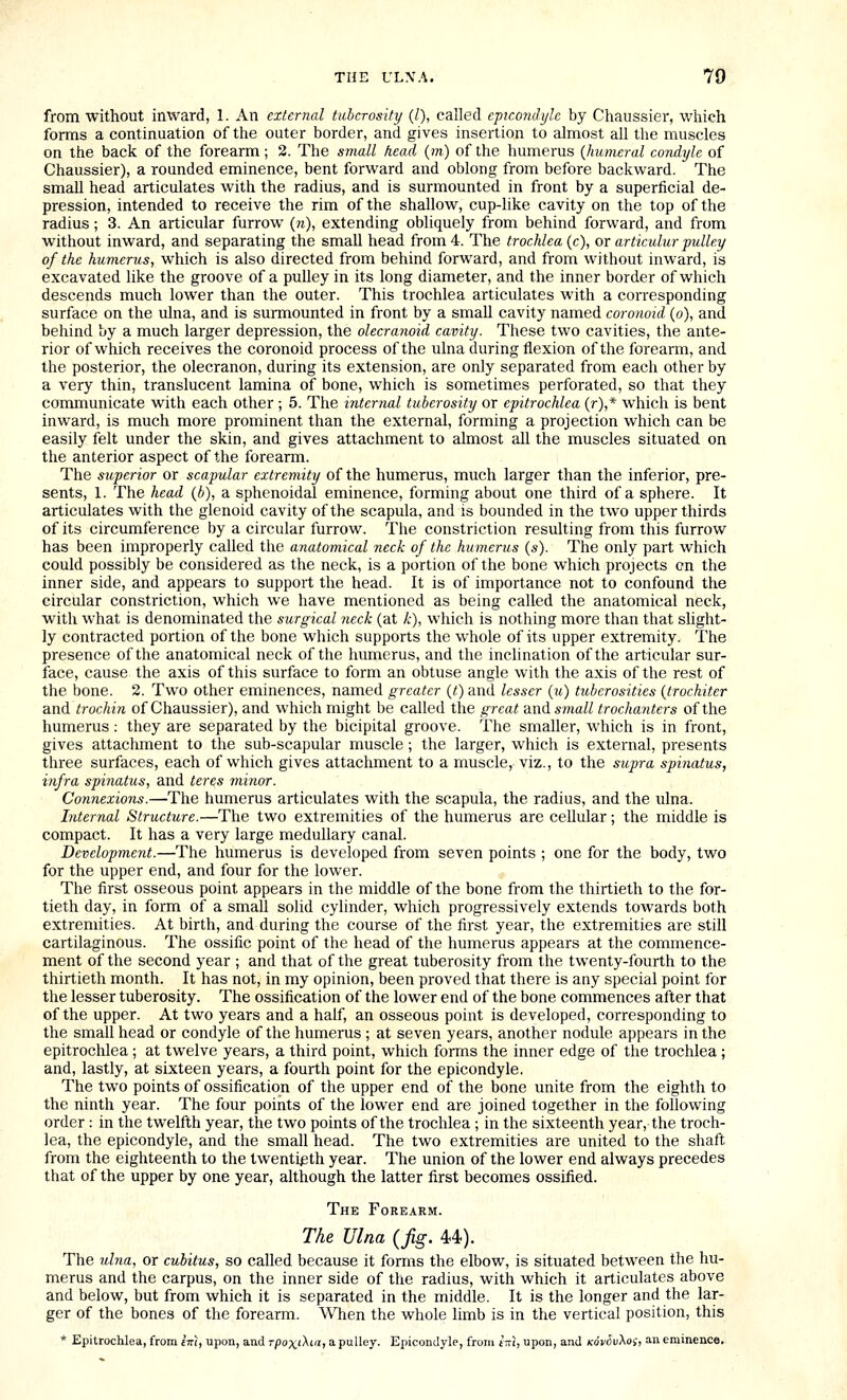 from without inward, 1. An external tuberosity (/), called eptcombjlc by Chaussier, which forms a continuation of the outer border, and gives insertion to almost all the muscles on the back of the forearm; 2. The small head (m) of the humerus {humeral condyle of Chaussier), a rounded eminence, bent forward and oblong from before backward. The small head articulates with the radius, and is surmounted in front by a superficial de- pression, intended to receive the rim of the shallow, cup-like cavity on the top of the radius; 3. An articular furrow (?i), extending obliquely from behind forward, and from without inward, and separating the small head from 4. The trochlea (c), or articulur pulley of the humerus, which is also directed from behind forward, and from without inward, is excavated like the groove of a pulley in its long diameter, and the inner border of which descends much lower than the outer. This trochlea articulates with a corresponding surface on the ulna, and is surmounted in front by a small cavity named coronoid (o), and behind by a much larger depression, the oleeranoid cavity. These two cavities, the ante- rior of which receives the coronoid process of the ulna during flexion of the forearm, and the posterior, the olecranon, during its extension, are only separated from each other by a very thin, translucent lamina of bone, which is sometimes perforated, so that they conununicate with each other ; 5. The internal tuberosity or epitrochlea (r),* which is bent inward, is much more prominent than the external, forming a projection which can be easily felt under the skin, and gives attachment to almost all the muscles situated on the anterior aspect of the forearm. The superior or scapular extremity of the humerus, much larger than the inferior, pre- sents, 1. The head (b), a sphenoidal eminence, forming about one third of a sphere. It articulates with the glenoid cavity of the scapula, and is bounded in the two upper thirds of its circumference by a circular furrow. The constriction resulting from this furrow has been improperly called the anatomical neck of the humerus (s). The only part which could possibly be considered as the neck, is a portion of the bone which projects en the inner side, and appeai^s to support the head. It is of importance not to confound the circular constriction, which we have mentioned as being called the anatomical neck, with what is denominated the surgical neck (at k), which is nothing more than that slight- ly contracted portion of the bone which supports the whole of its upper extremity. The presence of the anatomical neck of the humerus, and the inclination of the articular sur- face, cause the axis of this surface to form an obtuse angle with the axis of the rest of the bone. 2. Two other eminences, named greater (t) and lesser (u) tuberosities {trochiter and trochin of Chaussier), and which might be called the great and synall trochaiiters of the humerus: they are separated by the bicipital groove. The smaller, which is in front, gives attachment to the sub-scapular muscle; the larger, which is external, presents three surfaces, each of which gives attachment to a muscle, viz., to the supra spinatus, infra spinatus, and teres minor. Connexions.—The humerus articulates with the scapula, the radius, and the ulna. Internal Structure.—The two extremities of the humerus are cellular; the middle is compact. It has a very large medullary canal. Development.—The humerus is developed from seven points ; one for the body, two for the upper end, and four for the lower. The first osseous point appears in the middle of the bone from the thirtieth to the for- tieth day, in form of a small solid cylinder, which progressively extends towards both extremities. At birth, and during the course of the first year, the extremities are still cartilaginous. The ossific point of the head of the humerus appears at the commence- ment of the second year ; and that of the great tuberosity from the twenty-fourth to the thirtieth month. It has not, in my opinion, been proved that there is any special point for the lesser tuberosity. The ossification of the lower end of the bone commences after that of the upper. At two years and a half, an osseous point is developed, corresponding to the small head or condyle of the humerus ; at seven years, another nodule appears in the epitrochlea; at twelve years, a third point, which forms the inner edge of the trochlea; and, lastly, at sixteen years, a fourth point for the epicondyle. The two points of ossification of the upper end of the bone unite from the eighth to the ninth year. The four points of the lower end are joined together in the following order : in the twelfth year, the two points of the trochlea ; in the sixteenth year, the troch- lea, the epicondyle, and the small head. The two extremities are united to the shaft from the eighteenth to the twentieth year. The union of the lower end always precedes that of the upper by one year, although the latter first becomes ossified. The Forearm. The Ulna (fig. 44). The ulna, or cubitus, so called because it forms the elbow, is situated between the hu- merus and the carpus, on the inner side of the radius, with which it articulates above and below, but from which it is separated in the middle. It is the longer and the lar- ger of the bones of the forearm. WTien the whole limb is in the vertical position, this * Epitrochlea, from im, upon, and t/joxiAi'i, a pulley. Epicondyle, from tTri, upon, and KovSvXoi, an eminence.