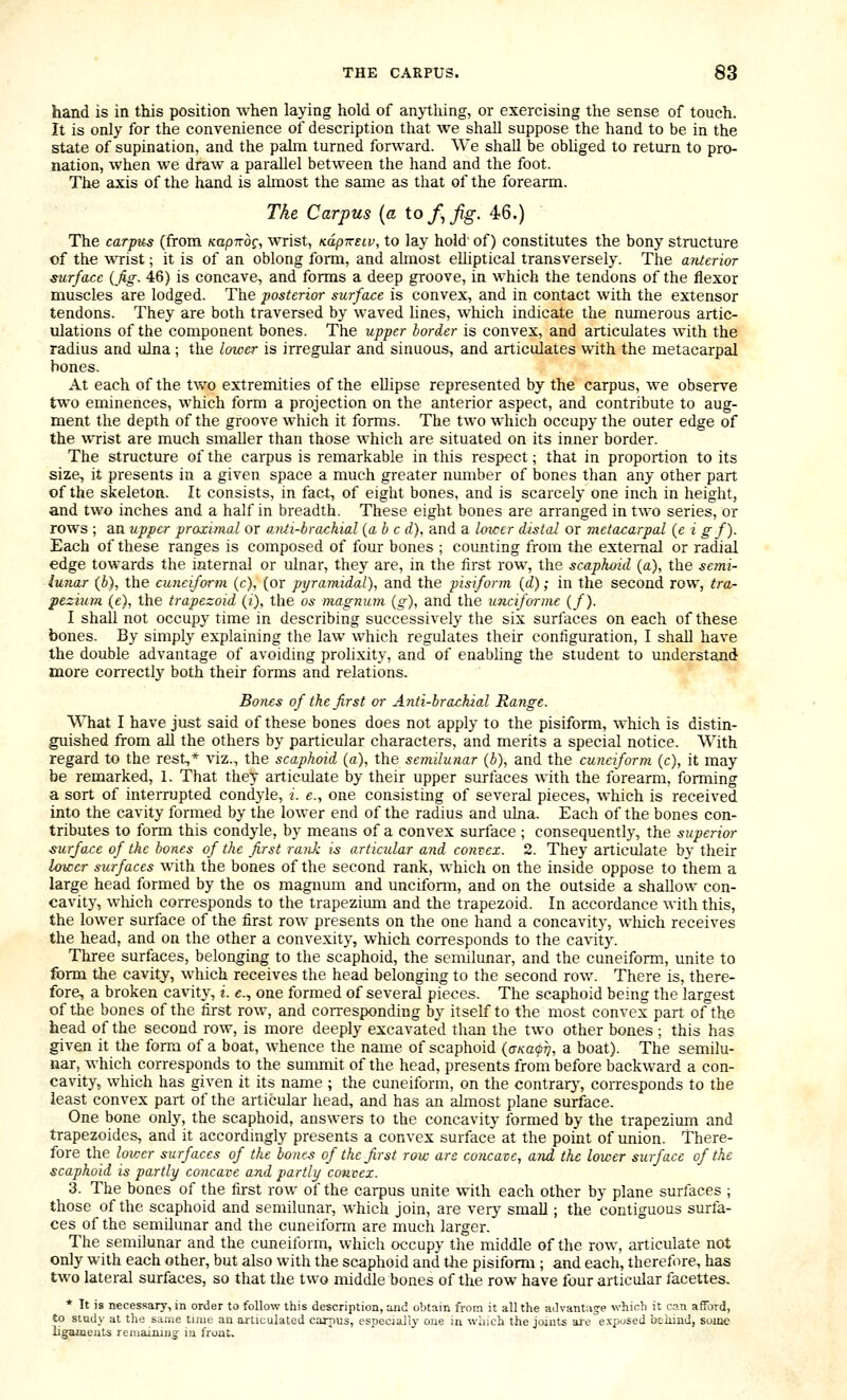 hand is in this position when laying hold of anything, or exercising the sense of touch. It is only for the convenience of description that we shall suppose the hand to be in the state of supination, and the palm turned forward. We shall be obliged to return to pro- nation, when we draw a parallel between the hand and the foot. The axis of the hand is almost the same as that of the forearm. The Carpus {a io f, Jig. 46.) The carpus (from Kapirbg, wrist, KapwEiv, to lay hold' of) constitutes the bony structure of the \VTist; it is of an oblong form, and abnost elliptical transversely. The anterior surface {fig. 46) is concave, and forms a deep groove, in which the tendons of the flexor muscles are lodged. The posterior surface is convex, and in contact with the extensor tendons. They are both traversed by waved lines, which indicate the numerous artic- ulations of the component bones. The upper border is convex, and articulates with the radius and ulna ; the lower is irregular and sinuous, and articulates with the metacarpal bones. At each of the two extremities of the ellipse represented by the carpus, we observe two eminences, which form a projection on the anterior aspect, and contribute to aug- ment the depth of the groove which it forms. The two which occupy the outer edge of the wrist are much smaller than those which are situated on its inner border. The structure of the carpus is remarkable in this respect; that in proportion to its size, it presents in a given space a much greater number of bones than any other part of the skeleton. It consists, in fact, of eight bones, and is scarcely one inch in height, and two inches and a half in breadth. These eight bones are arranged in two series, or rows ; an upper proximal or a/Ui-brachial (a b c d), and a Imcer distal or metacarpal {e i g f). Each of these ranges is composed of four bones ; counting from the external or radial edge towards the interna! or ulnar, they are, in the first row, the scaphoid (a), the semi- lunar (b), the cuneiform (c), (or pyramidal), and the pisiform {d); in the second row, tra- pezium (e), the trapezoid (;'), the os magnum (g), and the uncifarme (/). I shall not occupy time in describing successively the six surfaces on each of these bones. By simply explaining the law which regulates their configuration, I shall have the double advantage of avoiding prolixity, and of enabhng the student to understand more correctly both their forms and relations. Bones of the first or Anti-brachial Range. What I have just said of these bones does not apply to the pisiform, which is distin- guished from all the others by particular characters, and merits a special notice. With regard to the rest^* viz., the scaphoid (a), the semilunar (b), and the cuneiform (c), it may be remarked, 1. That they articulate by their upper surfaces with the forearm, forming a sort of interrupted condyle, /. e., one consisting of several pieces, which is received into the cavity formed by the lower end of the radius and ulna. Each of the bones con- tributes to form this condyle, by means of a convex surface ; consequently, the superior ■surface of the bones of the first rank is articular and convex. 2. They articulate by their lower surfaces with the bones of the second rank, which on the inside oppose to them a large head formed by the os magnum and uncifonn, and on the outside a shallow con- cavity, which corresponds to the trapezium and the trapezoid. In accordance with this, the lower surface of the first row presents on the one hand a concavity, which receives the head, and on the other a convexity, which corresponds to the cavity. Three surfaces, belonging to the scaphoid, the semilunar, and the cuneiform, unite to form the cavity, which receives the head belonging to the second row. There is, there- fore, a broken cavity, i. €., one formed of several pieces. The scaphoid bemg the largest of the bones of the first row, and corresponding bj^ itself to the most convex part of the head of the second row, is more deeply excavated than the two other bones ; this has given it the form of a boat, whence the name of scaphoid (aKafrj, a boat). The semilu- nar, which corresponds to the summit of the head, presents from before backward a con- cavity, which has given it its name ; the cuneiform, on the contrarj-, corresponds to the least convex part of the articular head, and has an almost plane surface. One bone only, the scaphoid, answers to the concavity formed by the trapezium and trapezoides, and it accordingly presents a convex surface at the point of union. There- fore the lower surfaces of the bone.s of the first row arc concate, and the lower surface of the scaphoid is partly concave and partly convex. 3. The bones of the first row of the carpus unite with each other by plane surfaces ; those of the scaphoid and semilunar, which join, are very smaU ; the contiguous surfa- ces of the semilunar and the cuneiform are much larger. The semilunar and the cuneiform, which occupy the middle of the row, articulate not only with each other, but also with the scaphoid and the pisiform ; and each, therefore, has two lateral surfaces, so that the two middle bones of the row have four articular facettes, * It is necessary, in order to follow this description, and obtain from it all the advantag-e which it can afford, to stody at the same time an ai'ticulated carpus, especially one in which the joints ai'e e.vposed beiiind, some ligameals remaining iu front.