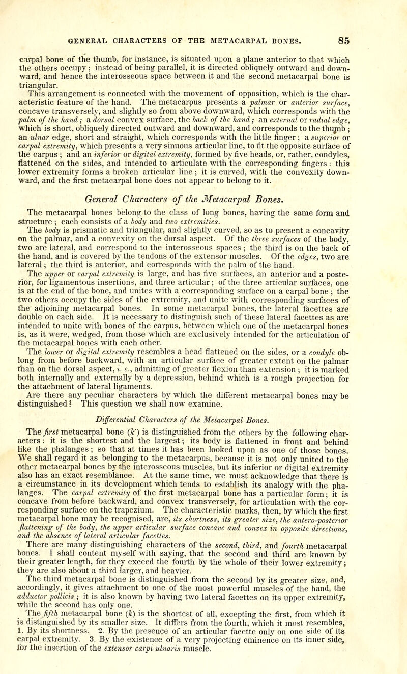 carpal bone of the thumb, for instance, is situated upon a plane anterior to that which the others occupy ; instead of being parallel, it is directed obliquely outward and down- ward, and hence the interosseous space between it and the second metacarpal bone is triangular. This arrangement is connected with the movement of opposition, which is the char- acteristic feature of the hand. The metacarpus presents a ■palmar or anterior surface, concave transversely, and slightly so from above downward, which corresponds with the •palm of the hand; a dorsal convex surface, the back of the hand; an external or radial edge, which is short, obliquely directed outward and downward, and corresponds to the thujpb ; an ulnar edge, short and straight, which corresponds with the little finger ; a superior or carpal extremity, which presents a very sinuous articular line, to fit the opposite surface of the carpus ; and an inferior or digital extremity, formed by five heads, or, rather, condyles, flattened on the sides, and intended to articulate with the corresponding fingers : this lower extremity forms a broken articular line ; it is curved, with the convexity down- ward, and the first metacarpal bone does not appear to belong to it. General Characters of the Metacarpal Bones. The metacarpal bones belong to the class of long bones, having the same form and structure ; each consists of a body and two extremities. The body is prismatic and triangular, and slightly curved, so as to present a concavity on the palmar, and a convexity on the dorsal aspect. Of the three surfaces of the body, two are lateral, and correspond to the interosseous spaces ; the third is on the back of the hand, and is covered by the tendons of the extensor muscles. Of the edges, two are lateral; the third is anterior, and corresponds with the palm of the hand. The upper or carpal extremity is large, and has five surlaces, an anterior and a poste- rior, for ligamentous insertions, and three articular; of the three articular surfaces, one is at the end of the bone, and unites with a corresponding surface on a carpal bone ; the two others occupy the sides of the extremity, and unite with corresponding surfaces of the adjoining metacarpal bones. In some metacarpal bones, the lateral facettes are double on each side. It is necessary to distinguish such of these lateral facettes as are intended to unite with bones of the carpus, between which one of the metacarpal bones is, as it were, wedged, from those which are exclusively intended for the articulation of the metacarpal bones with each other. The lower or digital extremity resembles a head flattened on the sides, or a condyle ob- long from before backward, with an articular surface of greater extent on the palmar than on the dorsal aspect, i. c., admitting of greater flexion than extension ; it is marked both internally and externally by a depression, behind which is a rough projection for the attachment of lateral ligaments. Are there any peculiar characters by which the different metacarpal bones may be distinguished 2 This question we shall now examine. Differential Characters of the Metacarpal Bones. The first metacarpal bone {k') is distinguished from the others by the following char- acters : it is the shortest and the largest; its body is flattened in front and behind like the phalanges; so that at times it has been looked upon as one of those bones. We shall regard it as belonging to the metacarpus, because it is not only united to the other metacarpal bones by the interosseous muscles, but its inferior or digital extremity also has an exact resemblance. At the same time, we must acknowledge that there is a circumstance in its development which tends to establish its analogy with the pha- langes. The carpal extremity of the first metacarpal bone has a particular form; it is concave from before backward, and convex transversely, for articulation with the cor- responding surface on the trapezium. The characteristic marks, then, by which the first metacarpal bone may be recognised, are, its shortness, its greater size, the antero-posterwr flattening of the body, the upper articular surface concave and convex in opposite directions, and the absence of lateral articular facettes. There are many distinguishing characters of the second, third, and fourth metacarpal bones. I shall content myself with saying, that the second and third are known by their greater length, for they exceed the fourth by the whole of their lower extremity; they are also about a third larger, and heavier. The third metacarpal bone is distinguished from the second by its greater size, and, accordingly, it gives attachment to one of the most powerful muscles of the hand, the adductor pollicis ; it is also known by having two lateral facettes on its upper extremity, while the second has only one. The fifth metacarpal bone {k) is the shortest of all, excepting the first, from which it is distinguished by its smaller size. It differs from the fourth, which it most resembles, 1. By its shortness. 2. By the presence of an articular facette only on one side of its carpal extremity. 3. By the existence of a very projecting eminence on its inner side, for the insertion of the extensor carpi ulnaris muscle.