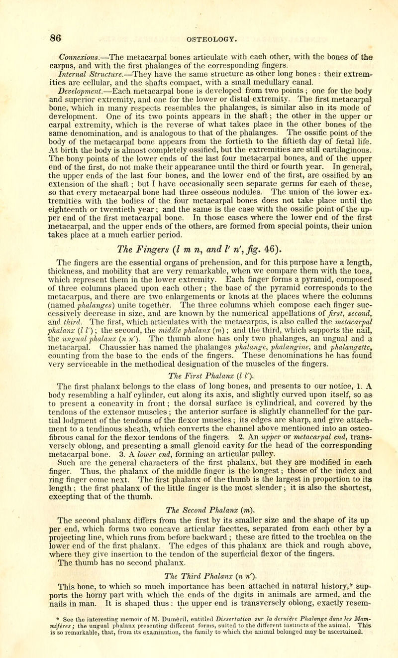 Cminexions.—The metacarpal bones articulate with each other, with the bones of the carpus, and with the first phalanges of the corresponding fingers. Internal Structure.—They have the same structure as other long bones: their extrem- ities are cellular, and the shafts compact, with a small medullary canal. Development.—Each metacarpal bone is developed from two points ; one for the body and superior extremity, and one for the lower or distal extremity. The first metacarpal bone, which in many respects resembles the phalanges, is similar also in its mode of development. One of its two points appears in the shaft; the other in the upper or carpal extremity, which is the reverse of what takes place in the other bones of the same denomination, and is analogous to that of the phalanges. The ossific point of the body of the metacarpal bone appears from the fortieth to the fiftieth day of foetal life. At birth the body is almost completely ossified, but the extremities are still cartilaginous. The bony points of the lower ends of the last four metacarpal bones, and of the upper end of the first, do not make their appearance until the third or fourth year. In general, the upper ends of the last four bones, and the lower end of the first, are ossified by an extension of the shaft; but I have occasionally seen separate germs for each of these, so that every metacarpal bone had three osseous nodules. The union of the lower ex- tremities with the bodies of the four metacarpal bones does not take place until the eighteenth or twentieth year; and the same is the case with the ossific point of the up- per end of the first metacarpal bone. In those cases where the lower end of the first metacarpal, and the upper ends of the others, are formed from special points, their union takes place at a much earher period. The Fingers (I m w, and I' n'^fig. 46). The fingers are the essential organs of prehension, and for this purpose have a length, thickness, and mobihty that are very remarkable, when we compare them with the toes, which represent them in the lower extremity. Each finger forms a p3Tamid, composed of three columns placed upon each other ; the base of the pyramid corresponds to the metacarpus, and there are two enlargements or knots at the places where the columns (named ■phalanges) unite together. The three columns which compose each finger suc- cessively decrease in size, and are known by the numerical appellations oi first, second, and third. The first, which articulates with the metacarpus, is also caUed the metacarpal phalanx {I I'); the second, the middle phalanx (to) ; and the third, which supports the nail, the ungual phalanx {n n). The thumb alone has only two phalanges, an ungual and a metacarpal. Chaussier has named the phalanges phalange, phalangme, and phalangette, counting from the base to the ends of the fingers. These denominations he has found very serviceable in the methodical designation of the muscles of the fingers. The First Phalanx (l I'). The first phalanx belongs to the class of long bones, and presents to our notice, 1. A body resembhng a half cylinder, cut along its axis, and slightly curved upon itself, so as to present a concavity in front; the dorsal surface is cylindrical, and covered by the tendons of the extensor muscles ; the anterior surface is slightly channelled' for the par- tial lodgment of the tendons of the flexor muscles; its edges are sharp, and give attach- ment to a tendinous sheath, which converts the channel above mentioned into an osteo- fibrous canal for the flexor tendons of the fingers. 2. An upper or metacarpal end, trans- versely oblong, and presenting a small glenoid cavity for the head of the corresponding metacarpal bone. 3. A loiver end, forming an articular pulley. Such are the general characters of the first phalanx, but they are modified in each finger. Thus, the phalanx of the middle finger is the longest; those of the index and ring finger come next. The first phalanx of the thumb is the largest in proportion to its length ; the first phalanx of the little finger is the most slender; it is also the shortest, excepting that of the thumb. The Second Phalanx (m). The second phalanx differs from the first by its smaller size and the shape of its up per end, which forms two concave articular facettes, separated from each other by a projecting line, which runs from before backward ; these are fitted to the trochlea on the lower end of the first phalanx. The edges of this phalanx are thick and rough above, where they give insertion to the tendon of the superficial flexor of the fingers. The thumb has no second phalanx. The Third Phalanx (n n'). This bone, to which so much importance has been attached in natural history,* sup- ports the horny part with which the ends of the digits in animals are armed, and the nails in man. It is shaped thus : the upper end is transversely oblong, exactly resem- * See the interesting memoir of M. Dumferil, entitled Dissertation sur la derniire Phalange dans hs Mam- miferes ; the ungual phalanx presenting-different forms, suited to the difterent instincts of the animal. This is so remarkable, that, from its examiaatiou, the family to which the animal belonged may be ascertained
