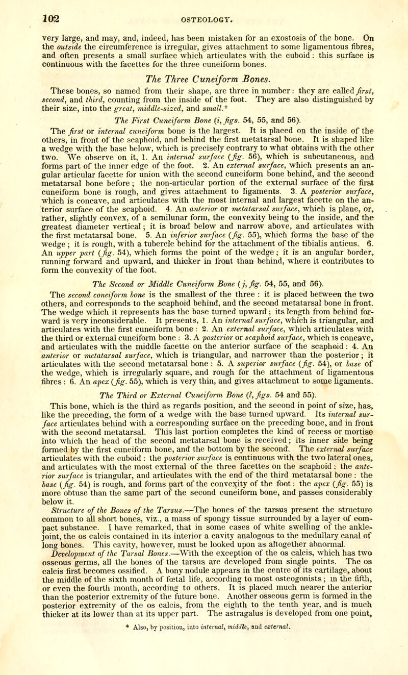 very large, and may, and, indeed, has been mistaken for an exostosis of the bone. On the outside the circumference is irregular, gives attachment to some ligamentous fibres, and often presents a small surface which articulates with the cuboid: this surface is continuous with the facettes for the three cuneiform bones. The Three Cuneiform Bones. These bones, so named from their shape, are three in number: they are called ^r*^, second, and third, counting from the inside of the foot. They are also distinguished by their size, into the great, middle-sized, and small* The First Cuneiform Bone (i, Jigs. 54, 55, and 56). The first or internal cuneiform bone is the largest. It is placed on the inside of the others, in front of the scaphoid, and behind the first metatarsal bone. It is shaped like a wedge with the base below, which is precisely contrary to what obtains with the other two. We observe on it, 1. An internal surface {fig. 56), which is subcutaneous, and forms part of the inner edge of the foot. 2. An external surface, which presents an an- gular articular facette for union with the second cuneiform bone behind, and the second metatarsal bone before; the non-articular portion of the external surface of the firs* cuneiform bone is rough, and gives attachment to ligaments. 3. A posterior surface, which is concave, and articulates with the most internal and largest facette on the an- terior surface of the scaphoid. 4. An anterior or metatarsal surface, which is plane, or, rather, slightly convex, of a semilunar form, the convexity being to the inside, and the greatest diameter vertical; it is broad below and narrow above, and articulates with the first metatarsal bone. 5. An inferior surface (fig. 55), which forms the base of the wedge ; it is rough, with a tubercle behind for the attachment of the tibialis amicus. 6. An upper part {fig. 54), which forms the point of the wedge,- it is an angular border, running forward and upward, and thicker in front than behind, where it contributes to form the convexity of the foot. The Second or Middle Cuneiform Bone {j,fig. 54, 55, and 56). The second coneiform hone is the smallest of the three : it is placed between the two others, and corresponds to the scaphoid behind, and the second metatarsal bone in front. The wedge which it represents has the base turned upward ; its length from behind for- ward is very inconsiderable. It presents, 1. An internal surface, which is triangular, and articulates with the first cuneiform bone: 2. An external surface, which articulates with the third or external cuneiform bone : 3. A posterior or scaphoid surface^ which is concave, and articulates with the middle facette on the anterior surface of the scaphoid: 4. An anterior or metatarsal surface, which is triangular, and narrower than the posterior; it articulates with the second metatarsal bone : 5. A superior surface {fig. 54), or base of the wedge, which is irregularly square, and rough for the attachment of ligamentous fibres : 6. An apex {fig. 55), which is very thin, and gives attachment to some ligaments. The Third or External Cuneiform Bone (t, figs. 54 and 55). This bone, which is the third as regards position, and the second in point of size, has, like the preceding, the form of a wedge with the base turned upward. Its internal sur- face articulates behind with a corresponding; surface on the preceding bone, and in front with the second metatarsal. This last portion completes the kind of recess or mortise into which the head of the second metatarsal bone is received; its inner side being formed by the first cuneiform bone, and the bottom by the second. The external surface articulates with the cuboid : the posterior surface is continuous with the two lateral ones, and articulates with the most external of the three facettes on the scaphoid : the ante- rior surface is triangular, and articulates with the end of the third metatarsal bone .- the base {fig. 54) is rough, and forms part of the convexity of the foot; the apex {fig. 55) is more obtuse than the same part of the second cuneiform bone, and passes considerably below it. Structure of the Bones of the Tarsus.—The bones of the tarsus present the structure common to all short bones, viz., a mass of spongy tissue surrounded by a layer of com- pact substance. I have remarked, that in some cases of white swelling of the ankle- joint, the OS calcis contained in its interior a cavity analogous to the medullary canal of long bones. This cavity, however, must be looked upon as altogether abnormal. Developme7it of the Tarsal Bo7ies.—.With the exception of the os calcis, which has two osseous germs, all the bones of the tarsus are developed from single points. The os calcis first becomes ossified. A bony nodule appears in the centre of its cartilage, about the middle of the sixth month of fcetal life, according to most osteogonists ; m the fifth, or even the fourth month, according to others. It is placed much nearer the anterior than the posterior extremity of the future bone. Another osseous germ is formed in the posterior extremity of the os calcis, from the eighth to the tenth year, and is much thicker at its lower than at its upper part. The astragalus is developed from one point, * Also, by position, into internal, midJle, and externals