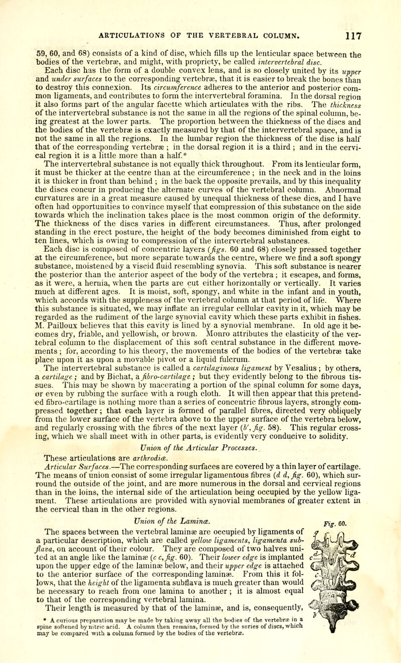 59, 60, and 68) consists of a kind of disc, which fills up the lenticular space between the bodies of the vertebrae, and might, with propriety, be called intervertebral disc. Each disc has the form of a double convex lens, and is so closely united by its upper and under surfaces to the corresponding vertebrae, that it is easier to break the bones than to destroy this connexion. Its circumference adheres to the anterior and posterior com- mon ligaments, and contributes to form the intervertebral foramina. In the dorsal region it also forms part of the angular facette wliich articulates with the ribs. The thickness of the intervertebral substance is not the same in all the regions of the spinal column, be- ing greatest at the lower parts. The proportion between the thickness of the discs and the bodies of the vertebrae is exactly measured by that of the intervertebral space, and is not the same in all the regions. In the lumbar region the thickness of the disc is half that of the corresponding vertebrae ; in the dorsal region it is a third ; and in the cervi- cal region it is a little more than a half* The intervertebral substance is not equally thick throughout. From its lenticular form, it must be thicker at the -centre than at the circumference ; in the neck and in the loins it is thicker in front than behind ; in the back the opposite prevails, and by this inequality the discs concur in producing the alternate curves of the vertebral column. Abnormal curvatures are in a great measure caused by unequal thickness of these dies, and I have often had opportunities to convince myself that compression of this substance on the side towards which the inclination takes place is the most common origin of the deformity. The thickness of the discs varies in different circumstances. Thus, after prolonged standing in the erect posture, the height of the body becomes diminished from eight to ten lines, which is owing to compression of the intervertebral substances. Each disc is composed of concentric layers ifigs. 60 and 68) closely pressed together at the circumference, but more separate towards the centre, where we find a soft spongy substance, moistened by a viscid fluid resembling synovia. This soft substance is nearer the posterior than the anterior aspect of the body of the vertebra ; it escapes, and forms, as it were, a hernia, when the parts are cut either horizontally or vertically. It varies much at different ages. It is moist, soft, spongy, and white in the infant and in youth, which accords with the suppleness of the vertebral column at that period of life. Where this substance is situated, we may inflate an irregular cellular cavity in it, which may be regarded as the rudiment of the large synovial cavity which these parts exhibit in fishes. M. PaiUoux believes that this cavity is lined by a synovial membrane. In old age it be- comes dry, friable, and yellowish, or brown. Monro attributes the elasticity of the ver- tebral column to the displacement of this soft central substance in the different move- ments ; for, according to his theory, the movements of the bodies of the vertebrae take place upon it as upon a movable pivot or a liquid fulcrum. The intervertebral substance is called a cartilaginous ligament by Vesalius ; by others, a cartilage ; and by Bichat, & fibro-cartilage ; but they evidently belong to the fibrous tis- sues. This may be shown by macerating a portion of the spinal column for some days, or even by rubbing the surface with a rough cloth. It will then appear that this pretend- ed fibro-cartilage is nothing more than a series of concentric fibrous layers, strongly com- pressed together; that each layer is formed of parallel fibres, directed very obliquely from the lower surface of the vertebra above to the upper surface of the vertebra below, and regularly crossing with the fibres of the next layer {b', fig. 58). This regular cross- ing, which we shall meet with in other parts, is evidently very conducive to sohdity. Union of the Articular Processes. These articulations are arthrodia. Articular Surfaces.—The corresponding surfaces are covered by a thin layer of cartilage. The means of union consist of some irregular ligamentous fibres (d d, fig. 60), which sur- round the outside of the joint, and are more numerous in the dorsal and cervical regions than in the loins, the internal side of the articulation being occupied by the yellow liga- ment. These articulations are provided with synovial membranes of greater extent in the cervical than in the other regions. Union of the Lamince. p^- gO^ The spaces between the vertebral laminae are occupied by ligaments of a particular description, which are called yellow ligaments, ligamenta sub- jiava, on account of their colour. They are composed of two halves uni- ted at an angle like the laminae (c c,fig. 60). Their lower edge is implanted upon the upper edge of the laminae below, and their upper edge is attached to the anterior surface of the corresponding laminae. From this it fol- lows, that the height of the ligamenta subflava is much greater than would be necessary to reach from one lamina to another ; it is almost equal to that of the corresponding vertebral lamina. Their length is measured by that of the laminae, and is, consequently, * A curious preparation may be made by taking- away all the bodies of the vertebrae in a spine softened by nitric acid. A column then remains, formed by the series of discs, which may be compared with a column formed by the bodies of the vertebriE.