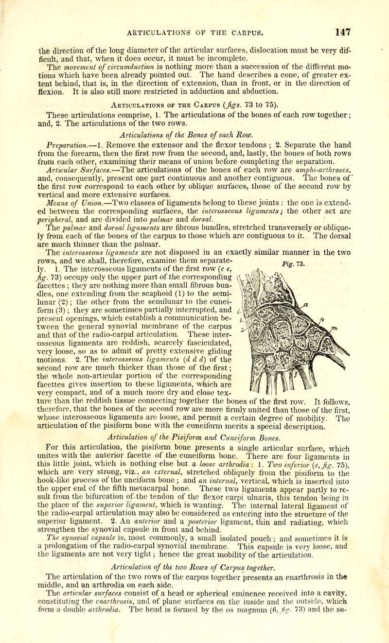 the direction of the long diameter of the articular surfaces, dislocation must be very dif- ficult, and that, when it does occur, it must be incomplete. The movement of circumduction is nothing more than a succession of the ditTer^nt mo- tions which have been already pointed out. The hand describes a cone, of greater ex- tent behind, that is, in the direction of extension, than in front, or in the direction of flexion. It is also still more restricted in adduction and abduction. Articulations of the Carpus {figs. 73 to 75). These articulations comprise, 1. The articulations of the bones of each row together; and, 2. The articulations of the two rows. Articulations of the Bones of each Row. PreparaHon.—1. Remove the extensor and the flexor tendons ; 2. Separate the hand from the forearm, then the first row from the second, and, lastly, the bones of both rows from each other, examining their means of union before completing the separation. Artkul&r Surfaces.—The articulations of the bones of each row are amphi-artkroses, and, consequently, present one part continuous and another contiguous. The bones of' the first row correspond to each other by oblique surfaces, those of the second row by vertical and more extensive surfaces. Mean^ of Union.—Two classes of ligaments belong to these joints : the one is extend- ed between the corresponding surfaces, the interosseous ligaments; the other set are peripheral, and are divided into palmar and dorsal. The palmar and dorsal ligaments are fibrous bundles, stretched transversely or oblique- ly from each of the bones of the carpus to those which are contiguous to it. The dorsal are much thinner than the palmar. The interosseous ligaments are not disposed in an exactly similar manner in the two Fig. 73. rows, and we shall, therefore, examine them separate- ly. 1. The interosseous ligaments of the first row (e e, fig. 73) occupy only the upper part of the corresponding y',, facettes ; they are nothing more than small fibrous bun- dles, one extending from the scaphoid (1) to the semi- lunar (2); the other from the semilunar to the cunei- form (3); they are sometimes partially interrupted, and present openings, which establish a communication be- tween the general synovial membrane of the carpus and that of the radio-carpal articulation. These inter- osseous hgaments are reddish, scarcely fasciculated, very loose, so as to admit of pretty extensive gliding motions. 2. The interosseous ligaments {d d d) of the second row are much thicker than those of the first; the whole non-articular portion of the corresponding facettes gives insertion to these hgaments, which are very compact, and of a much more dry and close tex- ture than the reddish tissue connecting together the bones of the first row. It follows, therefore, that the bones of the second row are more firmly united than those of the first, whose interosseous hgaments are loose, and permit a certain degree of mobility. The articulation of the pisiform bone with the cuneiform merits a special description. Articulation of the Pisiform and Cuneiform Bones. For this articulation, the pisiform bone presents a single articular surface, which unites with the anterior facette of the cuneiform bone. There are four ligaments in this little joint, which is nothing else but a hose arthrodia: 1. Two inferior {e,fig. 75), which are very strong, viz., an external, stretched obliquely from the pisiform to the hook-like process of the unciform bone ; and an iiUernal, vertical, which is inserted into the upper end of the fifth metacarpal bone. These two ligaments appear partly to re- sult from the bifurcation of the tendon of the flexor carpi ulnaris, this tendon being in the place of the superior ligament, which is wanting. The internal lateral ligamenrof the radio-carpal articulation may also be considered as entering into the structure of the superior ligament. 2. An anterior and a posterior ligament, thin and radiating, which strengthen the synovial capsule in front and behind. The synovial capsule is, most commonly, a smaU isolated pouch ; and sometimes it is a prolongation of the radio-carpal synovial membrane. This capsule is very loose, and the ligaments are not very tight; hence the great mobility of the articulation. Articulation of the two Rows of Carpus together. The articulation of the two rows of the carpus together presents an enarthrosis in th« middle, and an arthrodia on each side. The articular surfaces consist of a head or spherical eminence received into a cavity, constituting the enarthrosis, and of plane surfaces on the inside and the outside, which form a double arthrodia. The head is formed by the os magnum i(i,fig. 73) and the sn-