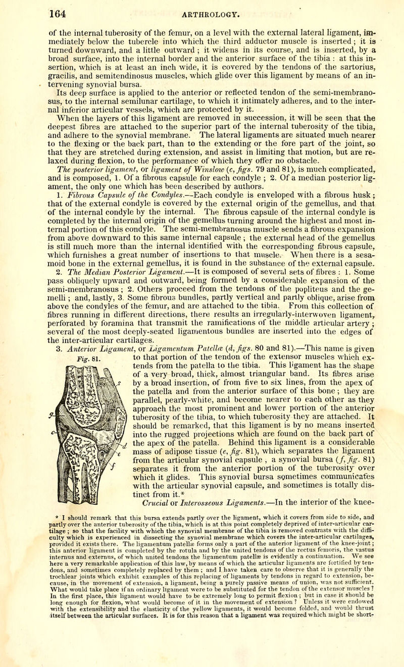 of the internal tuberosity of the femur, on a level with the external lateral ligament, im- mediately below the tubercle into which the third adductor muscle is inserted ; it is turned downward, and a little outward ; it widens in its course, and is inserted, by a broad surface, into the internal border and the anterior surface of the tibia : at this in- sertion, which is at least an inch wide, it is covered by the tendons of the sartorius, gracilis, and semitendinosus muscles, which glide over this ligament by means of an in- tervening synovial bursa. Its deep surface is applied to the anterior or reflected tendon of the semi-membrano- sus, to the internal semilunar cartilage, to which it intimately adheres, and to the inter- nal inferior articular vessels, which are protected by it. When the layers of this ligament are removed in succession, it will be seen that the deepest fibres are attached to the superior part of the internal tuberosity of the tibia, and adhere to the synovial membrane. The lateral hgaments are situated much nearer to the flexing or the back part, than to the extending or the fore part of the joint, so that they are stretched during extension, and assist in limiting that motion, but are re- laxed during flexion, to the performance of which they oiTer no obstacle. The posterior ligament, or ligament of Winsloic {c,figs. 79 and 81), is much complicated, and is composed, 1. Of a fibrous capsule for each condyle ; 2. Of a median posterior lig- ament, the only one which has been described by authors. 1. Fibrous Capsule of the Condyles.—-Each condyle is enveloped with a fibrous husk; that of the external condyle is covered by the external origin of the gemellus, and that of the internal condyle by the internal. The fibrous capsule of the internal condyle is completed by the internal origin of the gemellus turning around the highest and most in- ternal portion of this condyle. The semi-membranosus muscle sends a fibrous expansion from above downward to this same internal capsule ; the external head of the gemellus is still much more than the internal identified with the corresponding fibrous capsule, which furnishes a great number of insertions to that muscle. When there is a sesa- moid bone in the external gemellus, it is found in the substance of the external capsule, 2. The Median Posterior Ligament.—It is composed of severtil sets of fibres : 1. Some pass obhquely upward and outward, being formed by a considerable expansion of the semi-membranosus; 2. Others proceed from the tendons of the popliteus and the ge- meUi; and, lastly, 3. Some fibrous bundles, partly vertical and partly oblique, arise from above the condyles of the femur, and are attached to the tibia. From tins collection of fibres running in difl!erent directions, there results an irregularly-interwoven ligament, perforated by foramina that transmit the ramifications of the middle articular artery ; several of the most deeply-seated ligamentous bundles are inserted into the edges of the inter-articular cartilages. 3. Anterior Ligament, or Ligamcntum Patellfe {d,figs. 80 and 81).—This name is given Pig_ 81. to that portion of the tendon of the extensor muscles which ex- tends from the patella to the tibia. This ligament has the shape of a very broad, thick, ahnost triangular band. Its fibres arise by a broad insertion, of from five to six lines, from the apex of the patella and from the anterior surface of this bone ; they are parallel, pearly-white, and become nearer to each other as they approach the most prominent and lower portion of the anterior tuberosity of the tibia, to which tuberosity they are attached. It should be remarked, that this ligament is by no means inserted into the rugged projections which are found on the back part of the apex of the patella. Behind this ligament is a considerable mass of adipose tissue {e,fig. 81), which separates the hgament from the articular synovial capsule , a synovial bursa if fig- 81) separates it from the anterior portion of the tuberosity over which it glides. This synovial bursa sometimes communicates with the articular synovial capsule, and sometimes is totally dis- tinct from it.* Crucial or Interosseous Ligaments.—In the interior of the knee- * I should remark that this bursa extends partly over the lig-ament, which it covers from side to side, and partly over the anterior tuberosity of the tibia, which is at this point completely deprived of inter-articular car- tilage ; so that the facility with which the synovial membrane of the tibia is removed contrasts with the diih- culty which is experienced in dissecting the synovial membrane which covers the inter-articular cartilages, provided it exists there. The ligamentum patella; forms only a part of the anterior ligament of the knee-joint; this anterior ligament is completed by the rotula and by the united tendons of the rectus femoris, the vastus intemus and extemns, of which united tendons the ligamentum patells is evidently a continuation. We see here a very remarkable application of this law, by means of which the articular ligaments are fortified by ten- dons, and sometimes completely replaced by them ; and I have taken care to observe that it is generally the trochlear joints which exhibit examples of this replacing of ligaments by tendons in regard to extension, be- cause, in the movement of extension, a ligament, being a purely passive means of union, was not sufficient. What would take place if an ordinary ligament were to be substituted for the tendon of the extensor muscles 7 In the first place, this ligament would have to be extremely long to permit flexion; but in case it should l»e long enough for flexion, what would become of it in the movement of extension ? Unless it were endowed with the extensibility and the elasticity of the yellow ligaments, it would become folded, and would thrust itself between the articular surfaces. It is for this reason that a ligament was required which might be short-