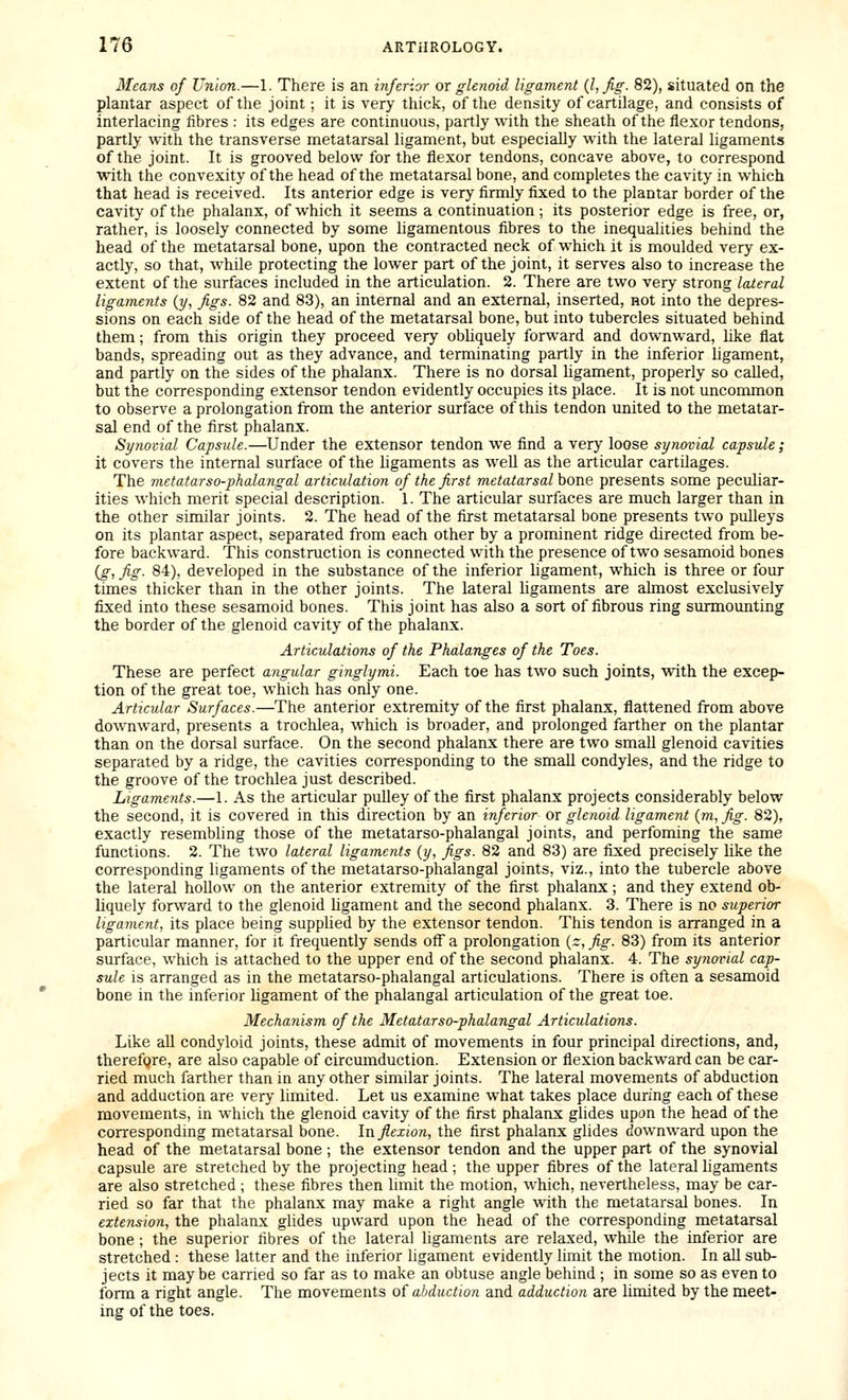 Means of Union.—1. There is an inferior or glenoid ligament (I, fig- 82), situated On the plantar aspect of the joint; it is very tliick, of the density of cartilage, and consists of interlacing fibres : its edges are continuous, partly with the sheath of the flexor tendons, partly with the transverse metatarsal ligament, but especially with the lateral ligaments of the joint. It is grooved below for the flexor tendons, concave above, to correspond with the convexity of the head of the metatarsal bone, and completes the cavity in which that head is received. Its anterior edge is very firmly fixed to the plantar border of the cavity of the phalanx, of which it seems a continuation; its posterior edge is free, or, rather, is loosely connected by some ligamentous fibres to the inequalities behind the head of the metatarsal bone, upon the contracted neck of which it is moulded very ex- actly, so that, while protecting the lower part of the joint, it serves also to increase the extent of the surfaces included in the articulation. 2. There are two very strong lateral ligaments {y, figs. 82 and 83), an internal and an external, inserted, not into the depres- sions on each side of the head of the metatarsal bone, but into tubercles situated behind them; from this origin they proceed very obliquely forward and downward, like flat bands, spreading out as they advance, and terminating partly in the inferior ligament, and partly on the sides of the phalanx. There is no dorsal ligament, properly so called, but the corresponding extensor tendon evidently occupies its place. It is not uncommon to observe a prolongation from the anterior surface of this tendon united to the metatar- sal end of the first phalanx. Synovial Capsule.—Under the extensor tendon we find a very loose synovial capsule; it covers the internal surface of the ligaments as well as the articular cartilages. The metatarso-phalangal articulation of the first metatarsal hone presents some peculiar- ities which merit special description. 1. The articular surfaces are much larger than in the other similar joints. 2. The head of the first metatarsal bone presents two pulleys on its plantar aspect, separated from each other by a prom.inent ridge directed from be- fore backward. This construction is connected with the presence of two sesamoid bones (g, fig. 84), developed in the substance of the inferior hgament, which is three or four times thicker than in the other joints. The lateral Hgaments are ahnost exclusively fixed into these sesamoid bones. This joint has also a sort of fibrous ring surmounting the border of the glenoid cavity of the phalanx. Articulations of the Phalanges of the Toes. These are perfect angular ginglymi. Each toe has two such joints, with the excep- tion of the great toe, which has only one. Articular Surfaces.—The anterior extremity of the first phalanx, flattened from above downward, presents a trochlea, which is broader, and prolonged farther on the plantar than on the dorsal surface. On the second phalanx there are two smaU glenoid cavities separated by a ridge, the cavities corresponding to the smaU condyles, and the ridge to the groove of the trochlea just described. Ligaments.—1. As the articular pulley of the first phalanx projects considerably below the second, it is covered in this direction by an inferior or glenoid ligament {m,fig. 82), exactly resembling those of the metatarso-phalangal joints, and perfoming the same functions. 2. The two lateral ligaments (y, Jigs. 82 and 83) are fixed precisely like the corresponding ligaments of the metatarso-phalangal joints, viz., into the tubercle above the lateral hollow on the anterior extremity of the first phalanx; and they extend ob- liquely forward to the glenoid ligament and the second phalanx. 3. There is no superior ligament, its place being supplied by the extensor tendon. This tendon is arranged in a particular manner, for it frequently sends off a prolongation (r, fig. 83) from its anterior surface, which is attached to the upper end of the second phalanx. 4. The synovial cap- sule is arranged as in the metatarso-phalangal articulations. There is often a sesamoid bone in the inferior ligament of the phalangal articulation of the great toe. Mechanism of the Metatarso-phalangal Articulations. Like all condyloid joints, these admit of movements in four principal directions, and, therefore, are also capable of circumduction. Extension or flexion backward can be car- ried much farther than in any other similar joints. The lateral movements of abduction and adduction are very limited. Let us examine what takes place during each of these movements, in which the glenoid cavity of the first phalanx glides upon the head of the corresponding metatarsal bone. Inflexion, the first phalanx glides downward upon the head of the metatarsal bone ; the extensor tendon and the upper part of the synovial capsule are stretched by the projecting head ; the upper fibres of the lateral ligaments are also stretched; these fibres then limit the motion, which, nevertheless, may be car- ried so far that the phalanx may make a right angle with the metatarsal bones. In extension, the phalanx glides upward upon the head of the corresponding metatarsal bone ; the superior fibres of the lateral ligaments are relaxed, while the inferior are stretched : these latter and the inferior ligament evidently limit the motion. In aU sub- jects it maybe carried so far as to make an obtuse angle behind ; in some so as even to form a right angle. The movements of abduction and adduction are limited by the meet- ing of the toes.