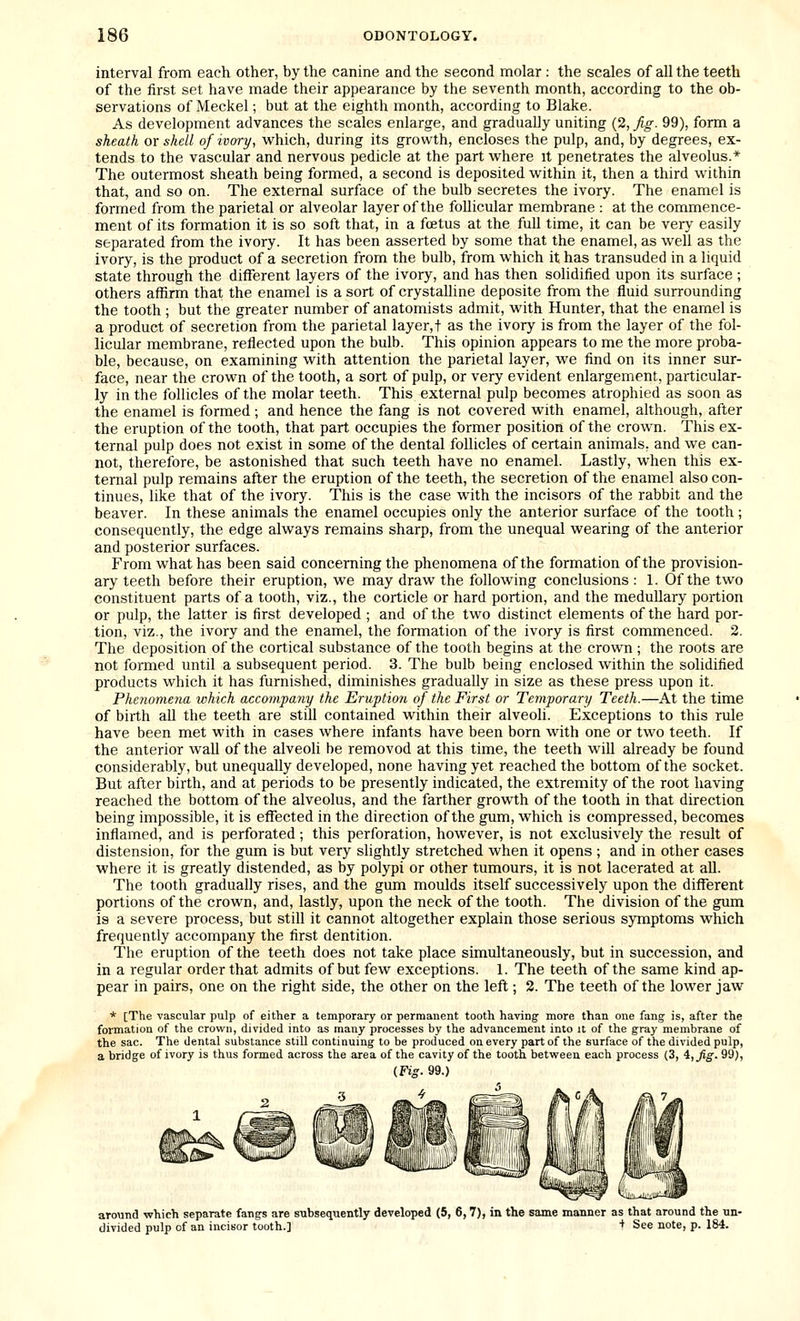 interval from each other, by the canine and the second molar : the scales of all the teeth of the first set have made their appearance by the seventh month, according to the ob- servations of Meckel; but at the eighth month, according to Blake. As development advances the scales enlarge, and gradually uniting (2, fig. 99), form a sheath or shell of ivory, which, during its growth, encloses the pulp, and, by degrees, ex- tends to the vascular and nervous pedicle at the part where it penetrates the alveolus.* The outermost sheath being formed, a second is deposited within it, then a third within that, and so on. The external surface of the bulb secretes the ivory. The enamel is formed from the parietal or alveolar layer of the follicular membrane : at the commence- ment of its formation it is so soft that, in a foetus at the full time, it can be very easily separated from the ivory. It has been asserted by some that the enamel, as well as the ivory, is the product of a secretion from the bulb, from which it has transuded in a liquid state through the different layers of the ivory, and has then solidified upon its surface ; others affirm that the enamel is a sort of crystalline deposite from the fluid surrounding the tooth ; but the greater number of anatomists admit, with Hunter, that the enamel is a product of secretion from the parietal layer,! as the ivory is from the layer of the fol- licular membrane, reflected upon the bulb. This opinion appears to me the more proba- ble, because, on examining with attention the parietal layer, we find on its inner sur- face, near the crown of the tooth, a sort of pulp, or very evident enlargement, particular- ly in the follicles of the molar teeth. This external pulp becomes atrophied as soon as the enamel is formed; and hence the fang is not covered with enamel, although, after the eruption of the tooth, that part occupies the former position of the crown. This ex- ternal pulp does not exist in some of the dental follicles of certain animals, and we can- not, therefore, be astonished that such teeth have no enamel. Lastly, when this ex- ternal pulp remains after the eruption of the teeth, the secretion of the enamel also con- tinues, like that of the ivory. This is the case with the incisors of the rabbit and the beaver. In these animals the enamel occupies only the anterior surface of the tooth ; consequently, the edge always remains sharp, from the unequal wearing of the anterior and posterior surfaces. From what has been said concerning the phenomena of the formation of the provision- ary teeth before their eruption, we may draw the following conclusions : 1. Of the two constituent parts of a tooth, viz., the corticle or hard portion, and the medullary portion or pulp, the latter is first developed ; and of the two distinct elements of the hard por- tion, viz., the ivory and the enamel, the formation of the ivory is first commenced. 2. The deposition of the cortical substance of the tooth begins at the crown ; the roots are not formed until a subsequent period. 3. The bulb being enclosed within the solidified products which it has furnished, diminishes gradually in size as these press upon it. Phenomena which accompany the Eruption of the First or Temporary Teeth.—At the time of birth all the teeth are still contained within their alveoh. Exceptions to this rule have been met with in cases where infants have been born with one or two teeth. If the anterior wall of the alveoli be removed at this time, the teeth will already be found considerably, but unequally developed, none having yet reached the bottom of the socket. But after birth, and at periods to be presently indicated, the extremity of the root having reached the bottom of the alveolus, and the farther growth of the tooth in that direction being impossible, it is effected in the direction of the gum, which is compressed, becomes inflamed, and is perforated; this perforation, however, is not exclusively the result of distension, for the gum is but very slightly stretched when it opens ; and in other cases where it is greatly distended, as by polypi or other tumours, it is not lacerated at all. The tooth gradually rises, and the gum moulds itself successively upon the different portions of the crown, and, lastly, upon the neck of the tooth. The division of the gum is a severe process, but still it cannot altogether explain those serious symptoms which frequently accompany the first dentition. The eruption of the teeth does not take place simultaneously, but in succession, and in a regular order that admits of but few exceptions. 1. The teeth of the same kind ap- pear in pairs, one on the right side, the other on the left; 2. The teeth of the lower jaw * [The vascular pulp of either a temporary or permanent tooth having more than one fang is, after the formation of the crown, divided into as many processes by the advancement into it of the gray membrane of the sac. The dental substance still continuing to be produced on every part of the surface of the divided pulp, a bridge of ivory is thus formed across the area of the cavity of the tooth betvpeeu each process (3, i,fig. 99), (Fig- 99.) around vfhich separate fangs are subsequently developed (5, 6,7), in the same manner as that around the un- divided pulp of an incisor tooth.] + See note, p. 184.