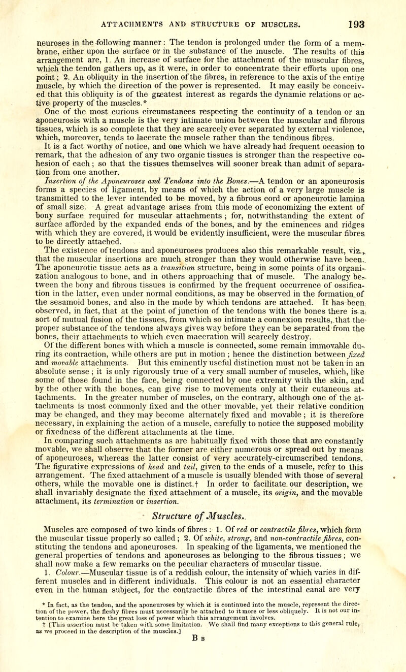 neuroses in the -following manner : The tendon is prolonged under the form of a mem- brane, either upon the surface or in the substance of the muscle. The results of this arrangement are, 1. An increase of surface for the attachment of the muscular fibres, which the tendon gathers up, as it were, in order to concentrate their efforts upon one point; 2. An obliquity in the insertion of the fibres, in reference to the axis of the entire muscle, by which the direction of the power is represented. It may easily be conceiv- ed that this obliquity is of the gceatest interest as regards the dynamic relations or ac- tive property of the museles.* One of the most curious circumstances respecting the continuity of a tendon or an aponeurosis with a muscle is the very intimate union between the muscular and fibrous tissues, which is so complete that they are scarcely ever separated by external violence, which, moreover, tends to lacerate the muscle rather than the tendinous fibres. It is a fact worthy of notice, and one which we have already had frequent occasion to remark, that the adhesion of any two organic tissues is stronger than the respective co- hesion of each ; so that the tissues themselves will sooner break than admit of separa- tion from one another. Insertion of the Aponeuroses and Tendons into the Bones.—A tendon or an aponeurosis forms a species of ligament, by means of which the action of a very large muscle is transmitted to the lever intended to be moved, by a fibrous cord or aponeurotic lamina of small size. A great advantage arises from this mode of economizing the extent of bony surface required for muscular attachments ; for, notwithstanding the extent of surface afforded by the expanded ends of the bones, and by the eminences and ridges with which they are covered, it would be evidently insufficient, were the muscular fibres to be directly attached. The existence of tendons and aponeuroses produces also this remarkable result, viz.„ that the muscular insertions are much stronger than they would otherwise have been.. The aponeurotic tissue acts as a transition structure, being in some points of its organic zation analogous to bone, and in others approaching that of muscle. The analogy be^. tween the bony and fibrous tissues is confirmed by the frequent occurrence of ossifica- tion in the latter, even under normal conditions, as may be observed in the formation^of the sesamoid bones, and also in the mode by which tendons are attached. It has been; observed, in fact, that at the point of junction of the tendons with the bones there isa. sort of mutual fusion of the tissues, from which so intimate a connexion results, that the- proper substance of the tendons always gives way before they can be separated-from the bones, their attachments to which even maceration will scarcely destroy. Of the different bones with which a muscle is connected, some remain immovable du- ring its contraction, while others are put in motion ; hence the distinction helvteen fixed and movable attachments. But this eminently useful distinction must not be taken in an absolute sense ; it is only rigorously true of a very small number of muscles, which, like some of those found in the face, being connected by one extremity with the skin, and by the other with the bones, can give rise to movements only at their cutaneous at- tachments. In the greater number of muscles, on the contrary, although one of the at- tachments is most commonly fixed and the other movable, yet their relative condition may be changed, and they may become alternately fixed and movable ; it is therefore necessary, in explaining the action of a muscle, carefully to notice the supposed mobility or fixedness of the different attachments at the time. In comparing such attachments as are habitually fixed with those that are constantly movable, we shall observe that the former are either numerous or spread out by means of aponeuroses, whereas the latter consist of very accurately-circumscribed tendons. The figurative expressions of head and tail, given to the ends of a muscle, refer to this arrangement. The fixed attachment of a muscle is usually blended with those of several others, while the movable one is distinct.t In order to facilitate our description, we shall invariably designate the fixed attachment of a muscle, its origin, and the movable attachment, its termination or insertion. Structure of Muscles. Muscles are composed of two kinds of fibres : 1. Of red or contractile fibres, which form the muscular tissue properly so called ; 2. Oi white, strong, and non-contractile fibres, con- stituting the tendons and aponeuroses. In speaking of the ligaments, we mentioned the general properties of tendons and aponeuroses as belonging to the fibrous tissues ; we shall now make a few remarks on the peculiar characters of muscular tissue. 1. Colour.—Muscular tissue is of a reddish colour, the intensity of which varies in dif- ferent muscles and in different individuals. This colour is not an essential character even in the human subject, for the contractile fibres of the intestinal canal are very * In fact, as the tendon, and the aponeuroses by which it is continued into the muscle, represent the direc- tion ol'the power, the fleshy fibres must necessarily be attached to it more or less obliquely. It is not our in- tention to examine here the great loss of power which this arrangement involves. t [This assertion must be taken with some limitation. We shall find many exceptions to this general rule, as we proceed in the description of the muscles.] Bb