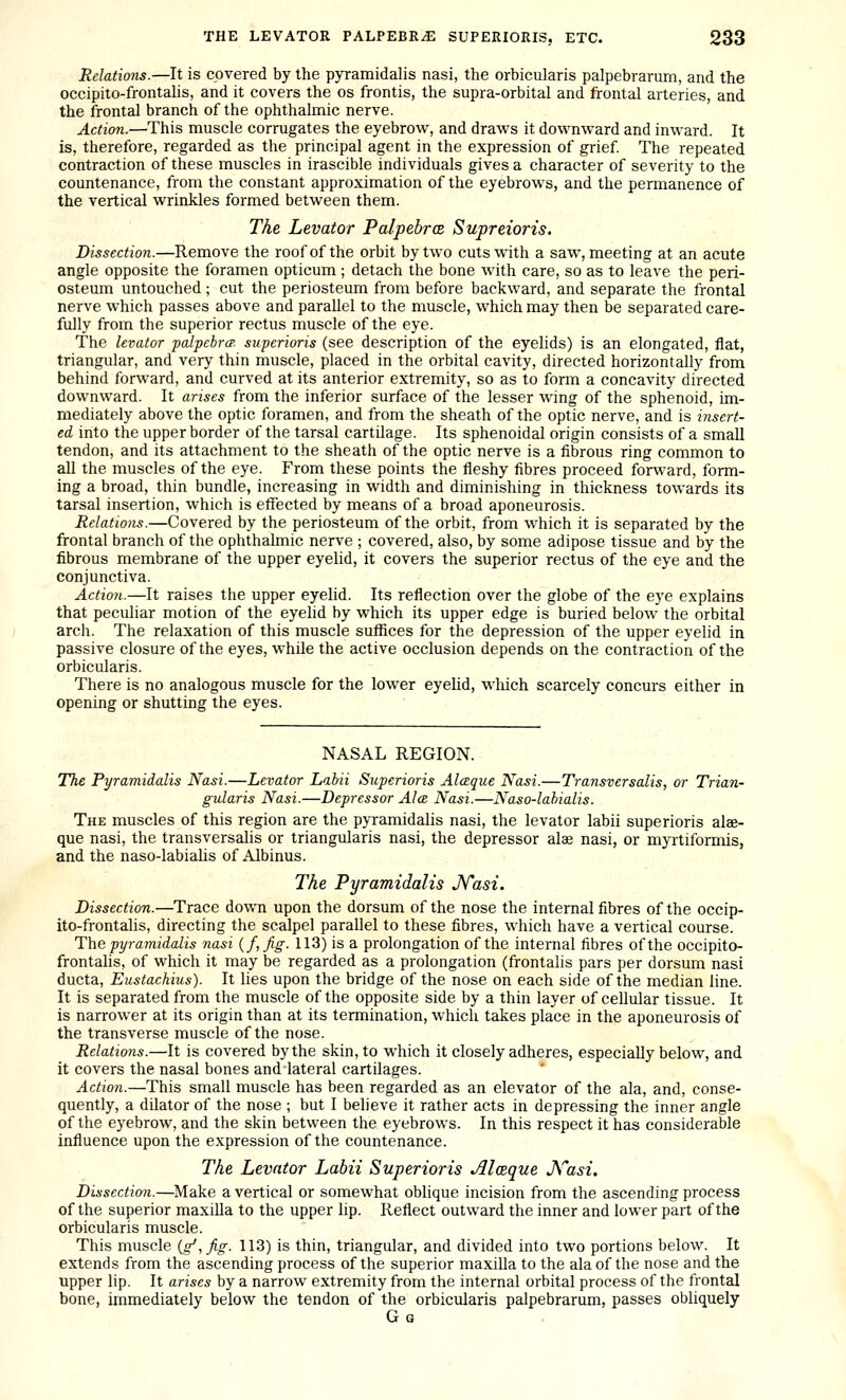 Relations.—It is covered by the p)Tamidalis nasi, the orbicularis palpebrarum, and the occipito-frontalis, and it covers the os frontis, the supra-orbital and frontal arteries, and the frontal branch of the ophthalmic nerve. Action.—This muscle corrugates the eyebrow, and draws it downward and inward. It is, therefore, regarded as the principal agent in the expression of grief The repeated contraction of these muscles in irascible individuals gives a character of severity to the countenance, from the constant approximation of the eyebrows, and the permanence of the vertical wrinkles formed between them. The Levator Palpebrce Supreioris. Dissection.—Remove the roof of the orbit by two cuts with a saw, meeting at an acute angle opposite the foramen opticum ; detach the bone with care, so as to leave the peri- osteum untouched; cut the periosteum from before backward, and separate the frontal nerve which passes above and parallel to the muscle, which may then be separated care- fully from the superior rectus muscle of the eye. The levator palpebrcp. superioris (see description of the eyelids) is an elongated, flat, triangular, and very thin muscle, placed in the orbital cavity, directed horizontally from behind forward, and curved at its anterior extremity, so as to form a concavity directed downward. It arises from the inferior surface of the lesser wing of the sphenoid, im- mediately above the optic foramen, and from the sheath of the optic nerve, and is insert- ed into the upper border of the tarsal cartilage. Its sphenoidal origin consists of a smaU tendon, and its attachment to the sheath of the optic nerve is a fibrous ring common to all the muscles of the eye. From these points the fleshy fibres proceed forward, form- ing a broad, thin bundle, increasing in width and diminishing in thickness towards its tarsal insertion, which is effected by means of a broad aponeurosis. Relations.—Covered by the periosteum of the orbit, from which it is separated by the frontal branch of the ophthalmic nerve ; covered, also, by some adipose tissue and by the fibrous membrane of the upper eyelid, it covers the superior rectus of the eye and the conjunctiva. Action.—It raises the upper eyelid. Its reflection over the globe of the eye explains that peculiar motion of the eyelid by which its upper edge is buried below the orbital arch. The relaxation of this muscle suffices for the depression of the upper eyelid in passive closure of the eyes, while the active occlusion depends on the contraction of the orbicularis. There is no analogous muscle for the lower eyelid, wliich scarcely concurs either in opening or shutting the eyes. NASAL REGION. The Pyramidalis Nasi.—Levator Labii Superioris Alceque Nasi.—Transversalis, or Trian- gularis Nasi.—Depressor Ales Nasi.—Naso-labialis. The muscles of this region are the pyramidalis nasi, the levator labii superioris alee- que nasi, the transversalis or triangularis nasi, the depressor alse nasi, or myTtiformis, and the naso-labialis of Albinus. The Pyramidalis JVasi. Dissection.—Trace down upon the dorsum of the nose the internal fibres of the occip- ito-frontalis, directing the scalpel parallel to these fibres, which have a vertical course. The pyramidalis nasi {f,fig. 113) is a prolongation of the internal fibres of the occipito- frontalis, of which it may be regarded as a prolongation (frontalis pars per dorsum nasi ducta, Eustachius). It lies upon the bridge of the nose on each side of the median line. It is separated from the muscle of the opposite side by a thin layer of cellular tissue. It is narrower at its origin than at its termination, which takes place in the aponeurosis of the transverse muscle of the nose. Relations.—It is covered by the skin, to which it closely adheres, especially below, and it covers the nasal bones and lateral cartilages. Action.—This small muscle has been regarded as an elevator of the ala, and, conse- quently, a dilator of the nose ; but I believe it rather acts in depressing the inner angle of the eyebrow, and the skin between the eyebrows. In this respect it has considerable influence upon the expression of the countenance. The Levator Labii Superioris Alceque J\i''asi. Dissection.—Make a vertical or somewhat oblique incision from the ascending process of the superior maxilla to the upper lip. Reflect outward the inner and lower part of the orbicularis muscle. This muscle ig',fig. 113) is thin, triangular, and divided into two portions below. It extends from the ascending process of the superior maxilla to the ala of the nose and the upper lip. It arises by a narrow extremity from the internal orbital process of the frontal bone, immediately below the tendon of the orbicularis palpebrarum, passes obliquely Gg
