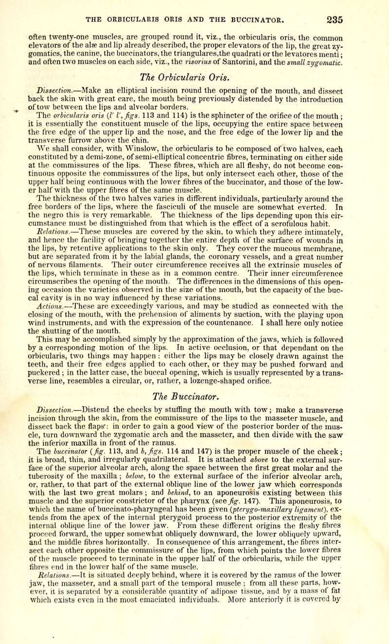 often twenty-one muscles, are grouped round it, viz., the orbicularis oris, the common elevators of the ala and lip already described, the proper elevators of the lip, the great zy- gomatics, the canine, the buccinators, the triangulares,the quadrati or the levatores menti; and often two muscles on each side, viz., the risorius of Santorini, and the small zygomatic. The Orbicularis Oris. Dissection.—Make an elliptical incision round the opening of the mouth, and dissect back the skin with great care, the mouth being previously distended by the introduction of tow between the lips and alveolar borders. The orbicularis oris (/' I', figs. 113 and 114) is the sphincter of the orifice of the mouth ; it is essentially the constituent muscle of the lips, occupying the entire space between the free edge of the upper lip and the nose, and the free edge of the lower lip and the transverse furrow above the chin. We shall consider, with Winslow, the orbicularis to be composed of two halves, each constituted by a demi-zone, of semi-elliptical concentric fibres, terminating on either side at the commissures of the lips. These fibres, which are all fleshy, do not become con- tinuous opposite the commissures of the lips, but only intersect each other, those of the upper half being continuous with the lower fibres of the buccinator, and those of the low- er half with the upper fibres of the same muscle. The thickness of the two halves varies in different individuals, particularly around the free borders of the lips, where the fasciculi of the muscle are somewhat everted. In the negro this is very remarkable. The thickness of the lips depending upon this cir- cumstance must be distinguished from that which is the effect of a scrofulous habit. Relations.—These muscles are covered by the skin, to which they adhere intimately, and hence the facility of bringing together the entire depth of the surface of wounds in the lips, by retentive applications to the skin only. They cover the mucous membrane, but are separated from it by the labial glands, the coronary vessels, and a great number of nervous filaments. Their outer circumference receives all the extrinsic muscles of the lips, which terminate in these as in a common centre. Their inner circumference circumscribes the opening of the mouth. The differences in the dimensions of this open- ing occasion the varieties observed in the size of the mouth, but the capacity of the buc- cal cavity is in no way influenced by these variations. Actions.—These are exceedingly various, and may be studied as connected with the closing of the mouth, with the prehension of aliments by suction, with the playing upon wind instniments, and with the expression of the countenance. I shall here only notice the shutting of the mouth. This may be accomplished simply by the approximation of the jaws, which is followed by a corresponding motion of the lips. In active occlusion, or that dependant on the orbicularis, two things may happen : either the lips may be closely drawn against the teeth, and their free edges applied to each other, or they may be pushed forward and puckered ; in the latter case, the buccal opening, which is usually represented by a trans- verse line, resembles a circular, or, rather, a lozenge-shaped orifice. The Buccinator. Dissection.—Distend the cheeks by stuffing the mouth with tow; make a transverse incision through the skin, from the commissure of the lips to the masseter muscle, and dissect back the flaps': in order to gain a good view of the posterior border of the mus- cle, turn downward the zygomatic arch and the masseter, and then divide with the saw the inferior maxilla in front of the ramus. The buccinator (fig. 113, and b,figs. 114 and 147) is the proper muscle of the cheek; it is broad, thin, and irregularly quadrilateral. It is attached above to the external sur- face of the superior alveolar arch, along the space between the first great molar and the tuberosity of the maxilla; below, to the external surface of the inferior alveolar arch, or, rather, to that part of the external oblique line of the lower jaw which corresponds with the last two great molars ; and behind, to an aponeurosis existing between this muscle and the superior constrictor of the pharynx (see fig. 147). This aponeurosis, to which the name of buccinato-pharyngeal has been given (pterygo-maxillary ligament), ex- tends from the apex of the internal pterygoid process to the posterior extremity of the internal oblique line of the lower jaw. From these different origins the fleshy fibres proceed forward, the upper somewhat obliquely downward, the lower obliquely upward, and the middle fibres horizontally. In consequence of this arrangement, the fibres inter- sect each other opposite the commissure of the lips, from which points the lower fibres of the muscle proceed to terminate in the upper half of the orbicularis, while the upper fibres end in the lower half of the same muscle. Relations.—It is situated deeply behind, where it is covered by the ramus of the lower jaw, the masseter, and a small part of the temporal muscle ; from all these parts, how- ever, it is separated by a considerable quantity of adipose tissue, and by a mass of fat which exists even in the most emaciated individuals. More anteriorly it is covered by