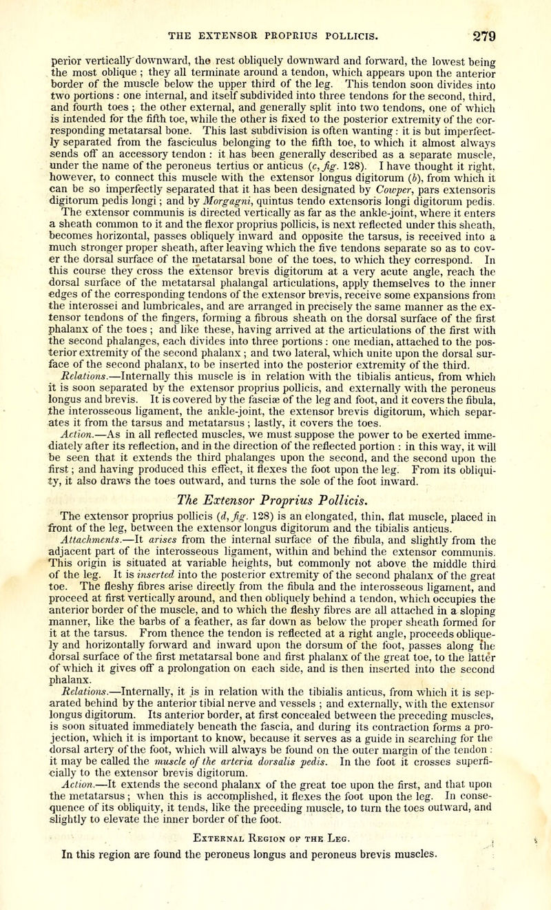 perior vertically'downward, the rest obliquely downward and forward, the lowest being the most oblique ; they all terminate around a tendon, which appears upon the anterior border of the muscle below the upper third of the leg. This tendon soon divides into two portions : one internal, and itself subdivided into three tendons for the second, third, and fourth toes ; the other external, and generally split into two tendon-s, one of which is intended for the fifth toe, while the other is fixed to the posterior extremity of the cor- responding metatarsal bone. This last subdivision is often wanting: it is but imperfect- ly separated from the fasciculus belonging to the fifth toe, to which it almost always sends off an accessory tendon : it has been generally described as a separate muscle, under the name of the peroneus tertius or anticus (c,Jig. 128). I have thought it right, however, to connect this muscle with the extensor longus digitorum (6), from which it can be so imperfectly separated that it has been designated by Cowper, pars extensoris digitorum pedis longi; and by Morgagni, quintus tendo extensoris longi digitorum pedis. The extensor communis is directed vertically as far as the ankle-joint, where it enters a sheath common to it and the flexor proprius pollicis, is next reflected under this sheath, becomes horizontal, passes obliquely inward and opposite the tarsus, is received into a much stronger proper sheath, after leaving which the five tendons separate so as to cov- er the dorsal surface of the metatarsal bone of the toes, to which they correspond. In this course they cross the extensor brevis digitorum at a very acute angle, reach the dorsal surface of the metatarsal phalangal articulations, apply themselves to the inner edges of the corresponding tendons of the extensor brevis, receive some expansions from the interossei and lumbricales, and are arranged in precisely the same manner as the ex- tensor tendons of the fingers, forming a fibrous sheath on the dorsal surface of the first phalanx of the toes ; and like these, having arrived at the articulations of the first with the second phalanges, each divides into three portions : one median, attached to the pos- terior extremity of the second phalanx ; and two lateral, which unite upon the dorsal sur- face of the second phalanx, to be inserted into the posterior extremity of the third. Relations.—Internally this muscle is in relation with the tibialis anticus, from which it is soon separated by the extensor proprius poUicis, and externally with the peroneus longus and brevis. It is covered by the fasciee of the leg and foot, and it covers the fibula, the interosseous ligament, the ankle-joint, the extensor brevis digitorum, which separ- ates it from the tarsus and metatarsus ; lastly, it covers the toes. Action.—As in aU reflected muscles, we must suppose the power to be exerted imme- diately after its reflection, and in the direction of the reflected portion : in this way, it will be seen that it extends the third phalanges upon the second, and the second upon the first; and having produced this effect, it flexes the foot upon the leg. From its obliqui- ty, it also draws the toes outward, and turns the sole of the foot inward. The Extensor Proprius Pollicis. The extensor proprius pollicis {d,Jig. 128) is an elongated, thin, flat muscle, placed in front of the leg, between the extensor longus digitorum and the tibialis anticus. Attachments.—It arises from the internal surface of the fibula, and slightly from the adjacent part of the interosseous ligament, within and behind the extensor coimnunis. This origin is situated at variable heights, but commonly not above the middle third of the leg. It is hiserted into the posterior extremity of the second phalanx of the great toe. The fleshy fibres arise directly from the fibula and the interosseous ligament, and proceed at first vertically around, and then obliquely behind a tendon, which occupies the anterior border of the muscle, and to which the fleshy fibres are all attached in a sloping manner, like the barbs of a feather, as far down as below the proper sheath formed for it at the tarsus. From thence the tendon is reflected at a right angle, proceeds obhque- ly and horizontally forward and inward upon the dorsum of the foot, passes along {he dorsal surface of the first metatarsal bone and first phalanx of the great toe, to the latter of which it gives off a prolongation on each side, and is then inserted into the second phalanx. Relations.—Internally, it is in relation with the tibialis anticus, from which it is sep- arated behind by the anterior tibial nerve and vessels ; and externally, with the extensor longus digitorum. Its anterior border, at first concealed between the preceding muscles, is soon situated inunediately beneath the fascia, and during its contraction forms a pro- jection, which it is important to know, because it serves as a guide in searching for the dorsal artery of the foot, which will always be found on the outer margin of the tendon : it may be called the muscle of the arteria dorsalis pedis. In the foot it crosses superfi- cially to the extensor brevis digitorum. Action.—It extends the second phalanx of the great toe upon the first, and that upon the metatarsus ; when this is accomplished, it flexes the foot upon the leg. In conse- quence of its obliquity, it tends, like the preceding muscle, to turn the toes outward, and slightly to elevate the inner border of the foot. External Region of the Leg. , In this region are found the peroneus longus and peroneus brevis muscles.