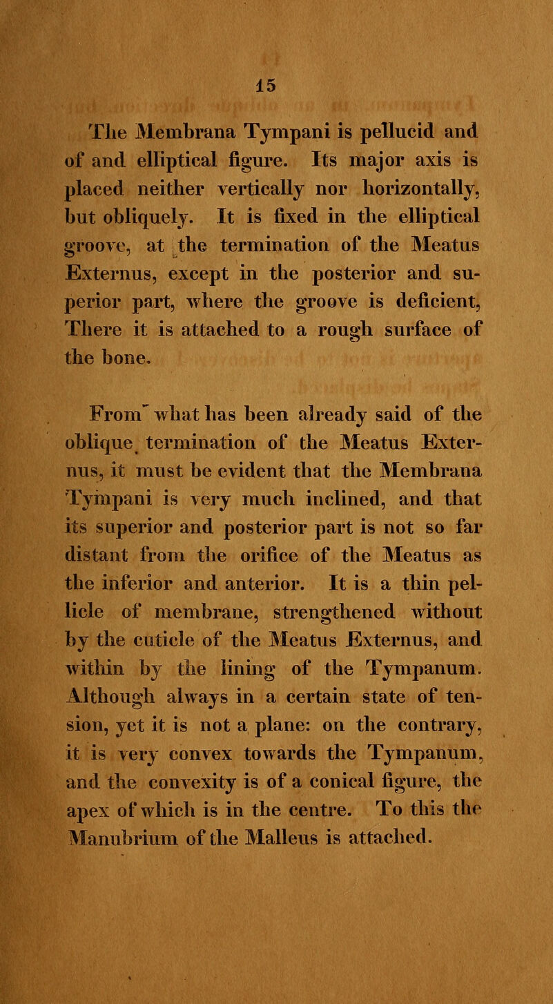 The Membrana Tympani is pellucid and of and elliptical figure. Its major axis is placed neither vertically nor horizontally, hut obliquely. It is fixed in the elliptical groove, at the termination of the Meatus Externus, except in the posterior and su- perior part, where the groove is deficient, There it is attached to a rough surface of the bone. From' what has been already said of the oblique termination of the Meatus Exter- nus, it must be evident that the Membrana Tympani is very much inclined, and that its superior and posterior part is not so far distant from the orifice of the Meatus as the inferior and anterior. It is a thin pel- licle of membrane, strengthened without by the cuticle of the Meatus Externus, and within by the lining of the Tympanum. Although always in a certain state of ten- sion, yet it is not a plane: on the contrary, it is very convex towards the Tympanum, and the convexity is of a conical figure, the apex of which is in the centre. To this the Manubrium of the Malleus is attached.