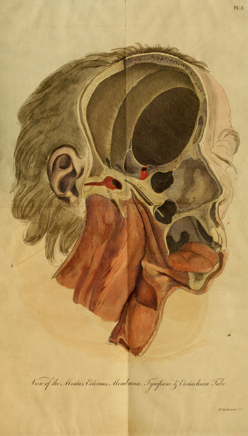 n..l. hej/ ■ of ///(■,. vtea/tcJj (■ c/f r////j.. /(c////'/'f///(/, . J///////<//// a ('//..i/rft/////// ■ S/U'-e