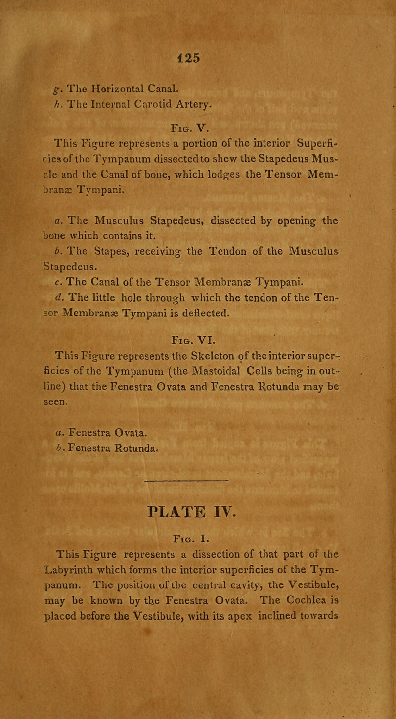 g. The Horizontal Canal. //. The Internal Carotid Artery. Fig. V. This Figure represents a portion of the interior Superfi- ciesof the Tympanum dissected to shew the Stapedeus Mus- cle and the Canal of bone, which lodges the Tensor Mem- branac Tympani. a. The Musculus Stapedeus, dissected by opening the bone which contains it. b. The Stapes, receiving the Tendon of the Musculus Stapedeus. c. The Canal of the Tensor Membranae Tympani. d. The little hole through which the tendon of the Ten- sor Membranae Tympani is deflected. Fig. VI. This Figure represents the Skeleton of the interior super- ficies of the Tympanum (the Mastoidal Cells being in out- line) that the Fenestra Ovata and Fenestra Rotunda may be seen. a. Fenestra Ovata. b. Fenestra Rotunda. PLATE IV. Fig. I. This Figure represents a dissection of that part of the Labyrinth which forms the interior superficies of the Tym- panum. The position of the central cavity, the Vestibule, may be known by the Fenestra Ovata. The Cochlea is placed before the Vestibule, with its apex inclined towards