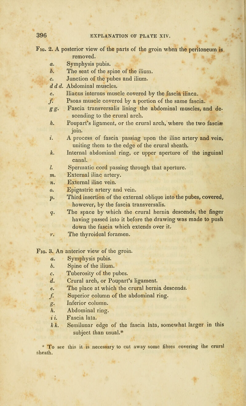 Fie. 2. A posterior view of the parts of the groin when the peritoneum is removed. a. Symphysis pubis. b. The seat of the spine of the ilium. c. Junction of the pubes and ilium. ddd. Abdominal muscles. e. Iliacus internus muscle covered by the fascia iliaca. f. Psoas muscle covered by a portion of the same fascia. g g. Fascia transversalis lining the abdominal muscles, and de- scending to the crural arch. h. Poupart's ligament, or the crural arch, where the two fasciae join. i. A process of fascia passing upon the iliac artery and vein, uniting them to the edge of the crural sheath. k. Internal abdominal ring, or upper aperture of the inguinal canal. /. Spermatic cord passing through that aperture. m. External iliac artery. n. External iliac vein. o. Epigastric artery and vein. p. Third insertion of the external oblique into the pubes, covered, however, by the fascia transversalis. q. The space by which the crural hernia descends, the finger having passed into it before the drawing was made to push down the fascia which extends over it. r. The thyroideal foramen. Fig. 3. An anterior view of the groin. a. Symphysis pubis. b. Spine of the ilium. c. Tuberosity of the pubes. d. Crural arch, or Poupart's ligament. e. The place at which the crural hernia descends. /. Superior column of the abdominal ring. g. Inferior column. h. Abdominal ring. i i. Fascia lata. k k. Semilunar edge of the fascia lata, somewhat larger in this subject than usual.* * To see this it is necessary to cut away some fibres covering the crural sheath.