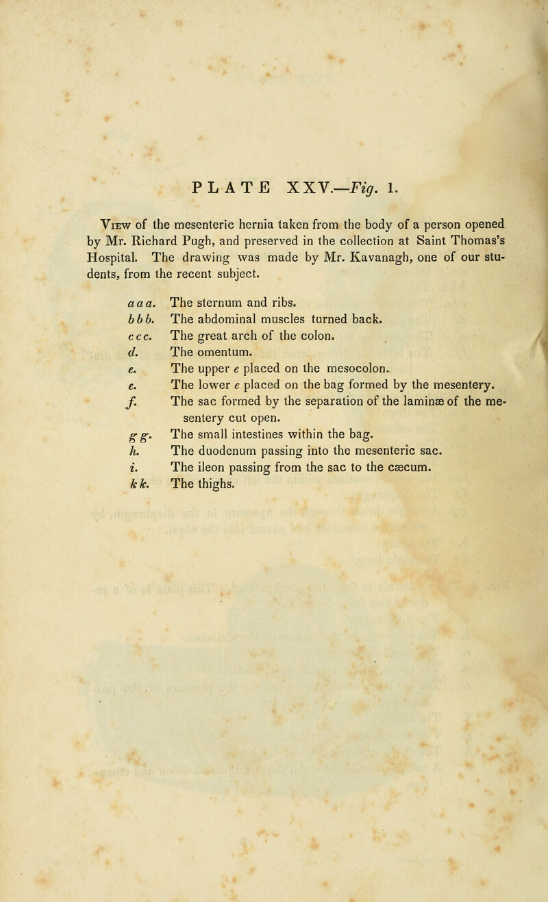 View of the mesenteric hernia taken from the body of a person opened by Mr. Richard Pugh, and preserved in the collection at Saint Thomas's Hospital. The drawing was made by Mr. Kavanagh, one of our stu- dents, from the recent subject. a a a. The sternum and ribs. bbb. The abdominal muscles turned back. ccc. The great arch of the colon. d. The omentum. e. The upper e placed on the mesocolon^ e. The lower e placed on the bag formed by the mesentery. f. The sac formed by the separation of the lamina? of the me- sentery cut open. g g. The small intestines within the bag. h. The duodenum passing into the mesenteric sac. i. The ileon passing from the sac to the caecum. kfa The thighs.