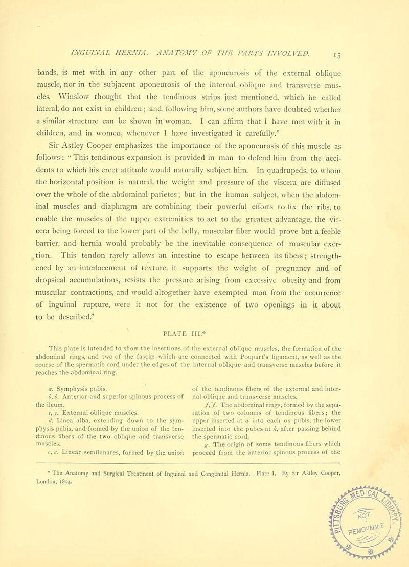 bands, is met with in any otlier part of the aponeurosis of the external oblique muscle, nor in the subjacent aponeurosis of the internal obHque and transverse mus- cles. Winslow thought that the tendinous strips just mentioned, which he called lateral, do not exist in children ; and, following him, some authors have doubted whether a similar structure can be shown in woman. I can affirm that I have met with it in children, and in women, whenever I have investigated it carefully. Sir Astley Cooper emphasizes the importance of the aponeurosis of this muscle as follows :  This tendinous expansion is provided in man to defend him from the acci- dents to which his erect attitude would naturally subject him. In quadrupeds, to whom the horizontal position is natural, the weight and pressure of the viscera are diffused over the whole of the abdominal parietes; but in the human subject, when the abdom- inal muscles and diaphragm are combining their powerful efforts to fix the ribs, to enable the muscles of the upper extremities to act to the greatest advantage, the vis- cera being forced to the lower part of the belly, muscular fiber would prove but a feeble barrier, and hernia would probably be the inevitable consequence of muscular exer- tion. This tendon rarely allows an intestine to escape between its fibers ; strength- ened by an interlacement of texture, it supports the weight of pregnancy and of dropsical accumulations, resists the pressure arising from excessive obesity and from muscular contractions, and would altogether have exempted man from the occurrence of inguinal rupture, were it not for the existence of two openings in it about to be described. PLATE III.* This plate is intended to show the insertions of the external oblique muscles, the formation of the abdominal rings, and two of the fasciae which are connected with Poupart's ligament, as well as the course of the spermatic cord under the edges of the internal oblique and transverse muscles before it reaches the abdominal ring. a. Symphysis pubis. of the tendinous fibers of the external and inter- b, b. Anterior and superior spinous process of nal oblique and transverse muscles. the ileum. /, 'f. The abdominal rings, formed by the sepa- c,c. External oblique muscles. ration of two columns of tendinous fibers; the d. Linea alba, extending down to the sym- upper inserted at a into each os pubis, the lower physis pubis, and formed by the union of the ten- inserted into the pubes at h, after passing behind dinous fibers of the two oblique and transverse the spermatic cord. muscles. g_ The origin of some tendinous fibers which e, e. Linear semilunares, formed by the union proceed from the anterior spinous process of the * The Anatomy and Surgical Treatment of Inguinal and Congenital Hernia. Plate I. By Sir Astley Cooper, London, 1804.