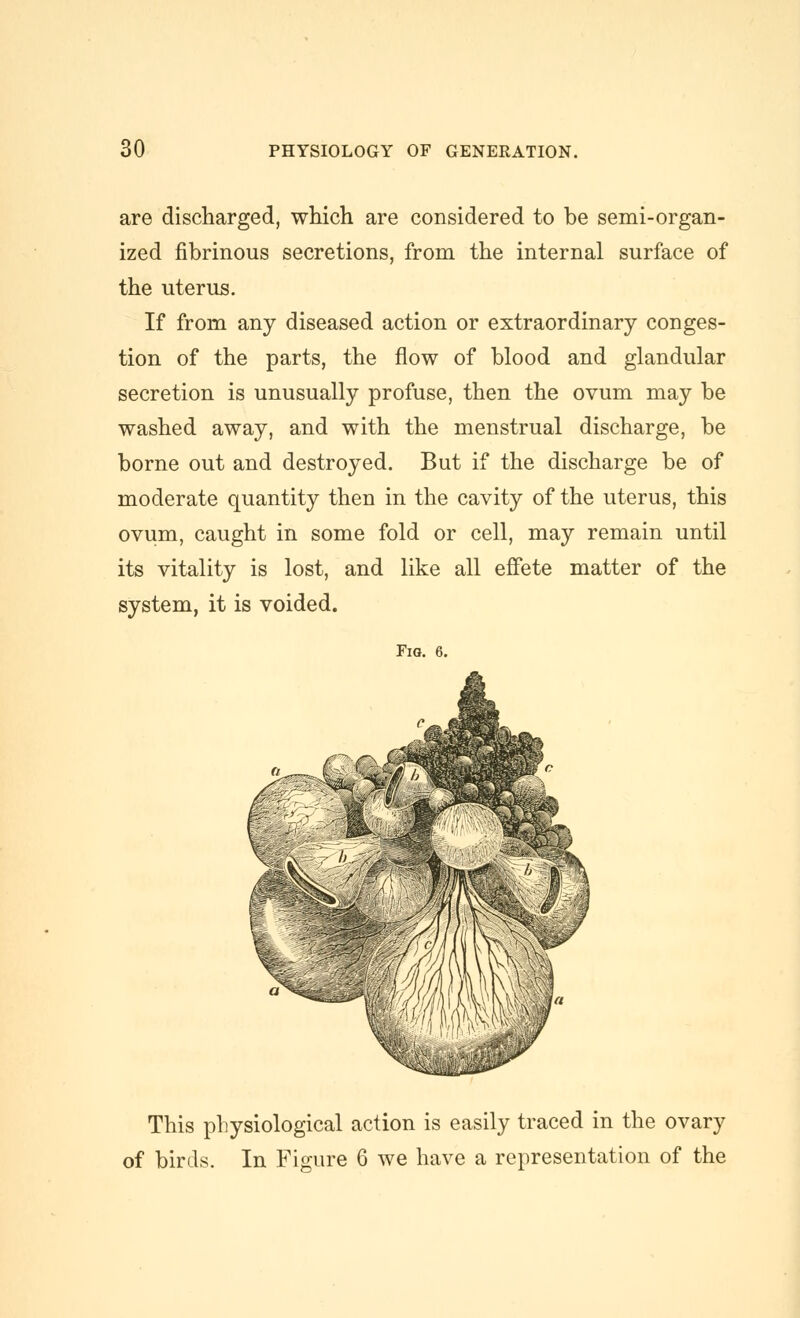 are discharged, which are considered to be semi-organ- ized fibrinous secretions, from the internal surface of the uterus. If from any diseased action or extraordinary conges- tion of the parts, the flow of blood and glandular secretion is unusually profuse, then the ovum may be washed away, and with the menstrual discharge, be borne out and destroyed. But if the discharge be of moderate quantity then in the cavity of the uterus, this ovum, caught in some fold or cell, may remain until its vitality is lost, and like all effete matter of the system, it is voided. Fia. 6. This pliysiological action is easily traced in the ovary of birds. In Figure 6 we have a representation of the