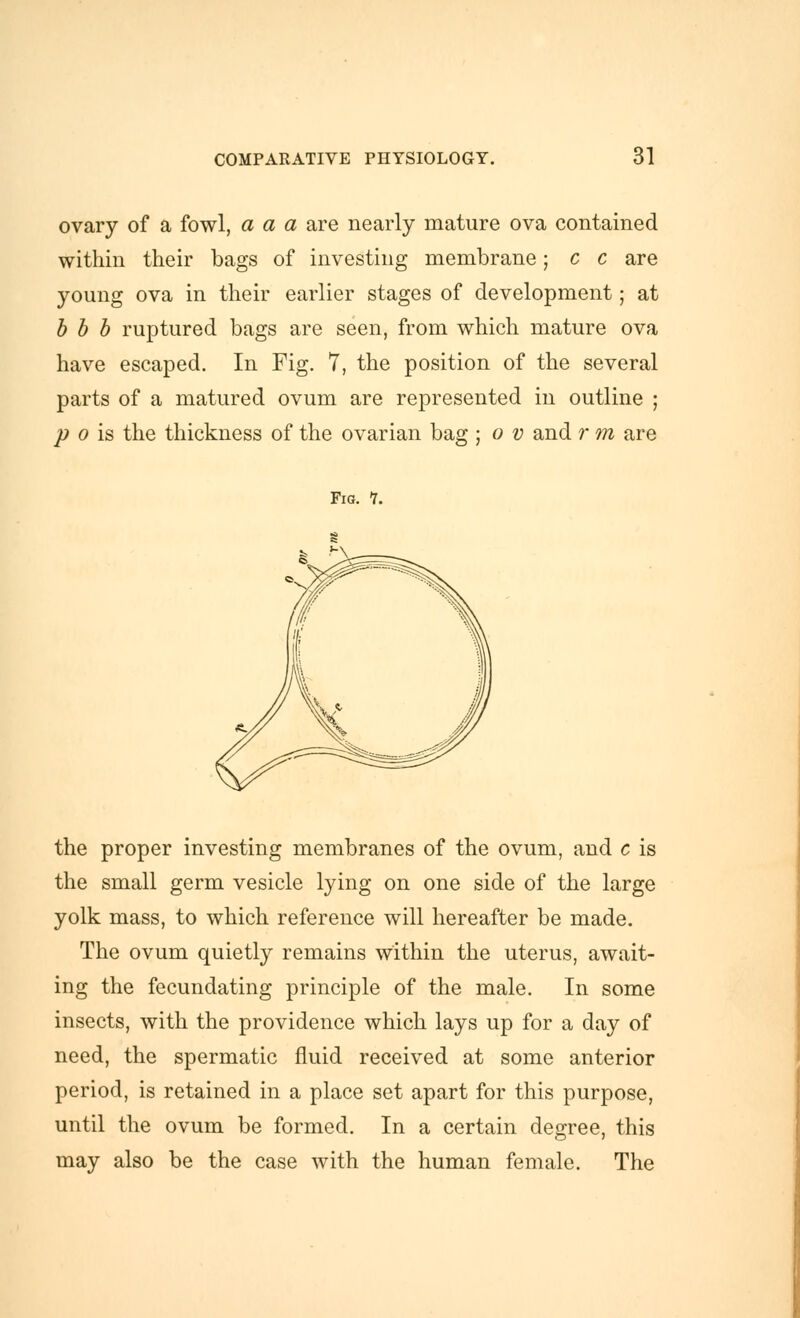 ovary of a fowl, a a a are nearly mature ova contained within their bags of investing membrane; c c are young ova in their earlier stages of development; at h h h ruptured bags are seen, from which mature ova have escaped. In Fig. 7, the position of the several parts of a matured ovum are represented in outline ; p 0 is the thickness of the ovarian bag ; o v and r m are Fig. 1. the proper investing membranes of the ovum, and c is the small germ vesicle lying on one side of the large yolk mass, to which reference will hereafter be made. The ovum quietly remains within the uterus, await- ing the fecundating principle of the male. In some insects, with the providence which lays up for a day of need, the spermatic fluid received at some anterior period, is retained in a place set apart for this purpose, until the ovum be formed. In a certain degree, this may also be the case with the human female. The