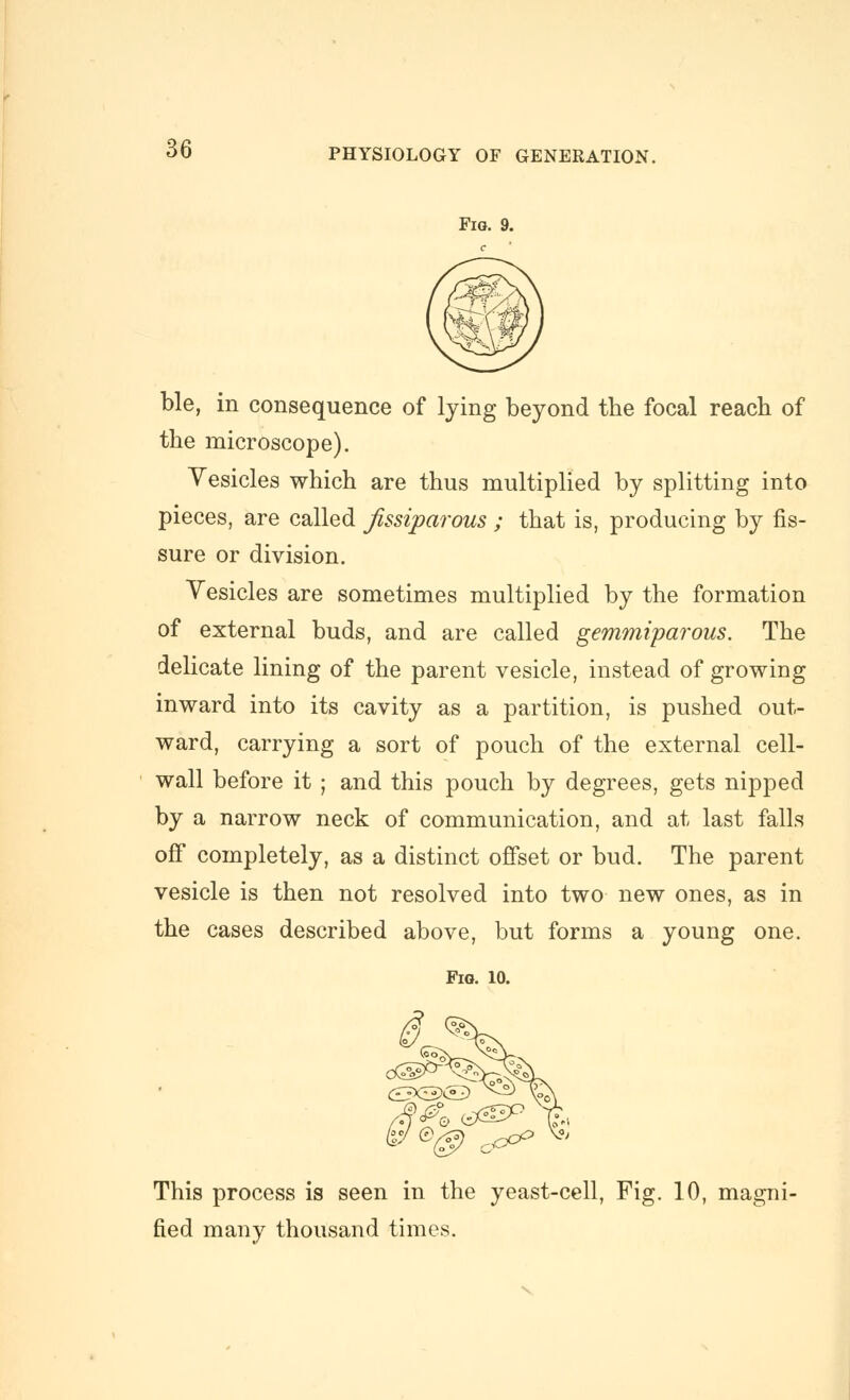 Fig. 9. ble, in consequence of lying beyond the focal reach of the microscope). Vesicles which are thus multiplied by splitting into pieces, are called fissiparous ; that is, producing by fis- sure or division. Vesicles are sometimes multiplied by the formation of external buds, and are called gemmiparous. The delicate lining of the parent vesicle, instead of growing inward into its cavity as a partition, is pushed out- ward, carrying a sort of pouch of the external cell- wall before it ; and this pouch by degrees, gets nipped by a narrow neck of communication, and at last falls off completely, as a distinct offset or bud. The parent vesicle is then not resolved into two new ones, as in the cases described above, but forms a young one. Fig. 10. This process is seen in the yeast-cell, Fig. 10, magni- fied many thousand times. V