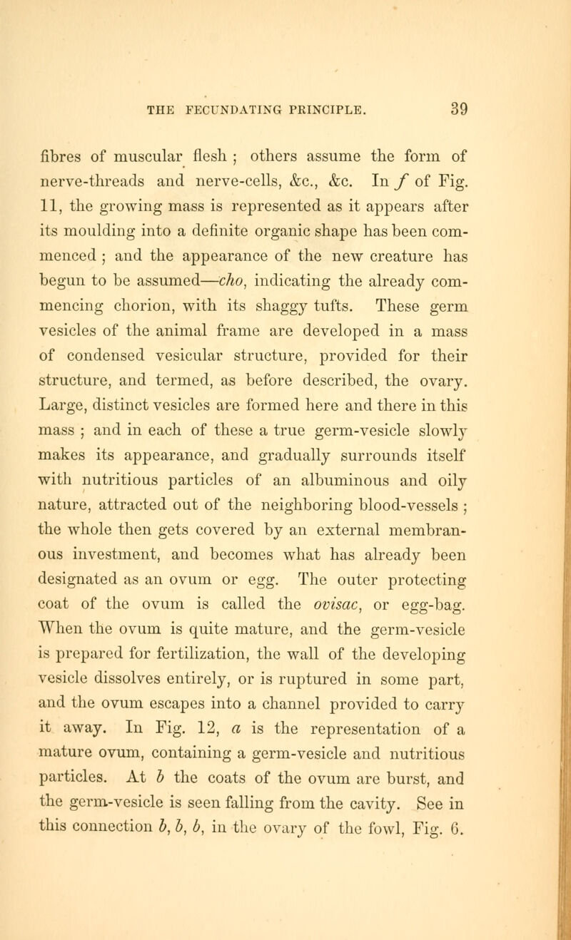 fibres of muscular flesh ; others assume the form of nerve-threads and nerve-cells, &c., &c. In f of Fig. 11, the growing mass is represented as it appears after its moulding into a definite organic shape has been com- menced ; and the appearance of the new creature has begun to be assumed—clio, indicating the already com- mencing chorion, with its shaggy tufts. These germ vesicles of the animal frame are developed in a mass of condensed vesicular structure, provided for their structure, and termed, as before described, the ovary. Large, distinct vesicles are formed here and there in this mass ; and in each of these a true germ-vesicle slowly makes its appearance, and gradually surrounds itself with nutritious particles of an albuminous and oily nature, attracted out of the neighboring blood-vessels ; the whole then gets covered by an external membran- ous investment, and becomes what has already been designated as an ovum or egg. The outer protecting coat of the ovum is called the ovisac^ or egg-bag. When the ovum is quite mature, and the germ-vesicle is prepared for fertilization, the wall of the developing vesicle dissolves entirely, or is ruptured in some part, and the ovum escapes into a channel provided to carry it away. In Fig. 12, a is the representation of a mature ovum, containing a germ-vesicle and nutritious particles. At h the coats of the ovum are burst, and the germ-vesicle is seen falling from the cavity. See in this connection h, b, b, in the ovary of the fowl, Fig. 6.