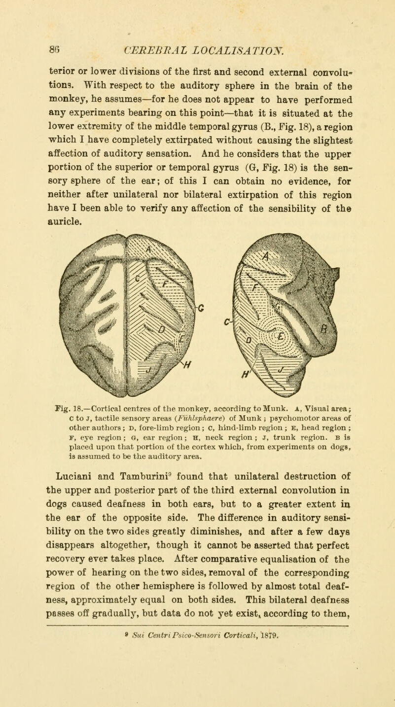 terior or lower divdsions of the first and second external convolu- tions. With respect to the auditory sphere in the brain of the monkey, he assumes—for he does not appear to have performed any experiments bearing on this point—that it is situated at the lower extremity of the middle temporal gyrus (B., Fig. 18), a region which I have completely extirpated without causing the slightest affection of auditory sensation. And he considers that the upper portion of the superior or temporal gyrus (G, Fig. 18) is the sen- sory sphere of the ear; of this I can obtain no evidence, for neither after unilateral nor bilateral extirpation of this region have I been able to verify any affection of the sensibility of the auricle. Fig. 18.—Cortical centres of the monkey, according to Munk. A, Visual area; C to J, tactile sensory areas {FuhUphaere) of Munk ; psychomotor areas of other authors ; D, fore-limb region ; c, hind-limb region ; E, head region ; F, eye region; G, ear region; H, neck region ; J, trunk region. B is placed upon that portion of the cortex which, from experiments on dogs, is assumed to be the auditory area. Luciani and Tamburini^ found that unilateral destruction of the upper and posterior part of the third external convolution in dogs caused deafness in both ears, but to a greater extent in. the ear of the opposite side. The difference in auditory sensi- bility on the two sides greatly diminishes, and after a few days disappears altogether, though it cannot be asserted that perfect recovery ever takes place. After comparative equalisation of the power of hearing on the two sides, removal of the corresponding region of the other hemisphere is followed by almost total deaf- ness, approximately equal on both sides. This bilateral deafness passes off gradually, but data do not yet exists according to them, * Sui Centri Psico-Sensori Corticali, 1879.