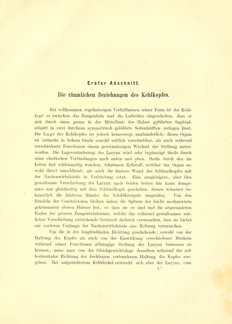 Erster Abschnitt. Die räumlichen Beziehungen des Kehlkopfes. Bei vollkommen regelmässigen Verhältnissen seiner Form ist der Kehl- kopf so zwischen das Zungenbein und die Luftröhre eingeschoben, dass er sich durch einen genau in der Mittellinie des Halses geführten Sagittal- schnitt in zwei durchaus symmetrisch gebildete Seitenhälften zerlegen lässt. Die Lage des Kehlkopfes ist jedoch keineswegs unabänderlich; dieses Organ ist vielmehr in hohem Grade sowohl seitlich verschiebbar, als auch während verschiedener Functionen einem gesetzmässigen Wechsel der Stellung unter- worfen. Die Lageveränderimg des Larynx wird sehr begünstigt theils durch seine elastischen Verbindungen nach unten und oben, theils durch den im Leben fast schleimartig weichen, dehnbaren Zellstoff, welcher das Organ so- wohl direct umschliesst, als auch die hintere Wand des Schlundkopfes mit der Naekenwirbelsäule in Verbindimg setzt. Eine ausgiebigere, aber blos gewaltsame Verschiebung des Larynx nach beiden Seiten hin kann demge- mäss nur gleichzeitig mit dem Schlundkopfe geschehen, dessen Schnürer be- kanntlich die hinteren Ränder des Schildknorpels umgreifen. Von den Bündeln der Constrictoren bleiben indess die Spitzen der leicht medianwärts gekrümmten oberen Hörner frei, so dass sie es sind und die abgerundeten Enden der grossen Zungenbeinhörner, welche das während gewaltsamer seit- licher Verschiebung entstehende Geräusch dadurch verursachen, dass sie hiebei am vorderen Umfange der Nacken Wirbelsäule eine Reibung verursachen. Um die in der longitudinalen Richtung geschehende, sowohl von der Haltung des Kopfes als auch von der Einwirkung verschiedener Muskeln während seiner Functionen abhängige Stellung des Larynx bemessen zu können, muss man von der Gleichgewichtslage desselben während der mit horizontaler Richtung der Jochbogen verbundenen Haltung des Kopfes aus- gehen. Bei aufgerichtetem Kehldeckel erstreckt sieh aber der Larynx, vom 1 *