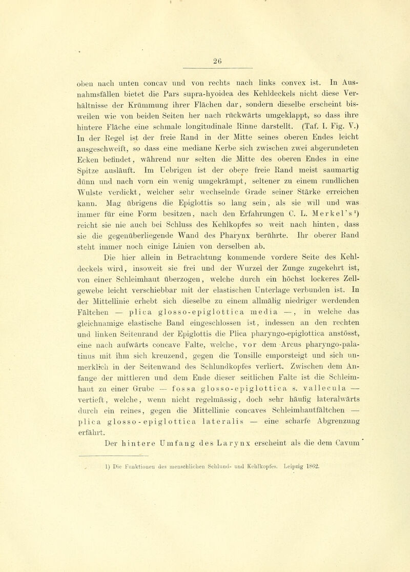 oben nach unten concav und von rechts nach links convex ist. In Aus- nahmsfällen bietet die Pars supra-hyoidea des Kehldeckels nicht diese Ver- hältnisse der Krümmung ihrer Flächen dar, sondern dieselbe erscheint bis- weilen wie von beiden Seiten her nach rückwärts umgeklappt, so dass ihre hintere Fläche eine schmale longitudinale Rinne darstellt. (Taf. I. Fig. V.) In der Regel ist der freie Rand in der Mitte seines oberen Endes leicht ausgeschweift, so dass eine mediane Kerbe sich zwischen zwei abgerundeten Ecken befindet, während nur selten die Mitte des oberen Endes in eine Spitze ausläuft. Im Uebrigen ist der obere freie Rand meist saumartig dünn und nach vorn ein wenig umgekrämpt, seltener zu einem rundlichen Wulste verdickt, welcher sehr wechselnde Grade seiner Stärke erreichen kann. Mag übrigens die Epiglottis so lang sein, als sie will und was immer für eine Form besitzen, nach den Erfahrungen C. L. Merkel's1) reicht sie nie auch bei Schluss des Kehlkopfes so weit nach hinten, dass sie die gegenüberliegende Wand des Pharynx berührte. Ihr oberer Band steht immer noch einige Linien von derselben ab. Die hier allein in Betrachtung kommende vordere Seite des Kehl- deckels wird, insoweit sie frei und der Wurzel der Zunge zugekehrt ist, von einer Schleimhaut überzogen, welche durch ein höchst lockeres Zell- gewebe leicht verschiebbar mit der elastischen Unterlage verbunden ist. In der Mittellinie erhebt sieh dieselbe zu einem allmälig niedriger werdenden Fältchen — p 1 i c a g 1 o s s o - e p i g 1 o 11 i c a media — , in welche das gleichnamige elastische Band eingeschlossen ist, indessen an den rechten und linken Seitenrand der Epiglottis die Plica pharyngo-epiglottica anstösst, eine nach aufwärts coneave Falte, welche, vor dem Arcus pharyngo-pala- tinus mit ihm sich kreuzend, gegen die Tonsille emporsteigt und sich un- merklich in der Seitenwand des Schlundkopfes verliert. Zwischen dem An- fange der mittleren und dem Ende dieser seitlichen Falte ist die Schleim- haut zu einer Grube — fossa glosso-epiglottica s. vallecula — vertieft, welche, wenn nicht regelmässig, doch sehr häufig lateralwärts durch ein reines, gegen die Mittellinie concaves Schleimhautfältchen — plica glosso-epiglottica lateralis — eine scharfe Abgrenzung erfährt. Der hintere Umfang des L a r y n x erscheint als die dem Cavum 1) Die Funktionen des menschlichen Schlund- und Kehlkopfe?. Leipzig 1862.